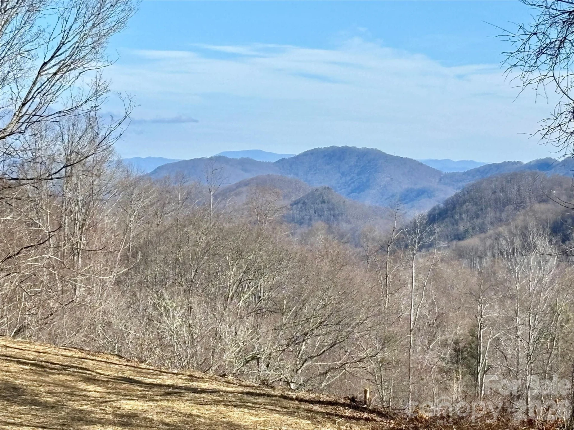 (NE Lot) Meadow Fork Road - Photo 2