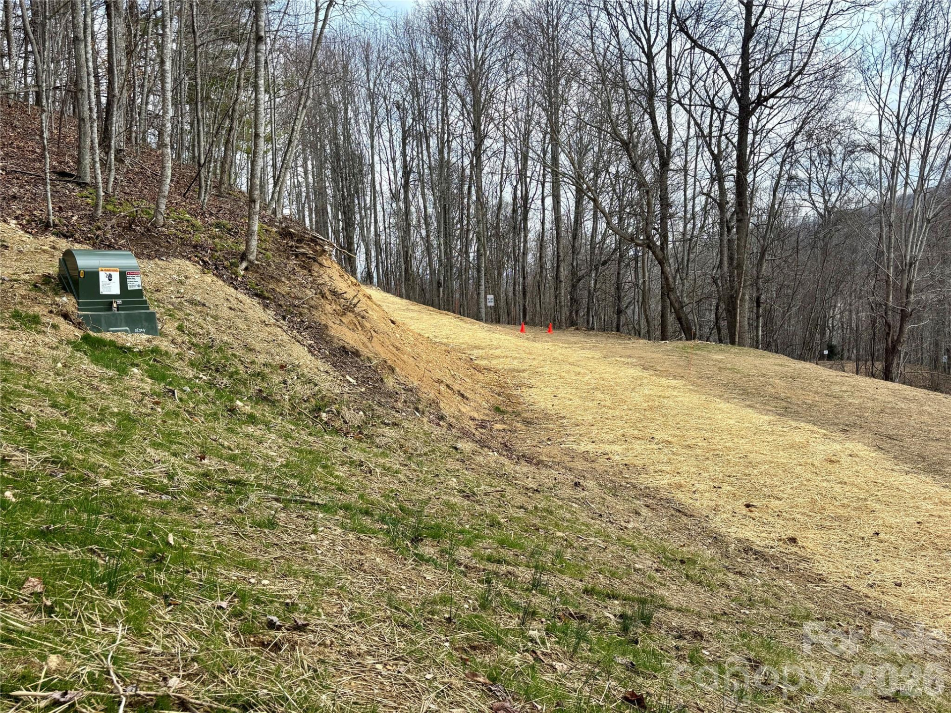 (NE Lot) Meadow Fork Road - Photo 11