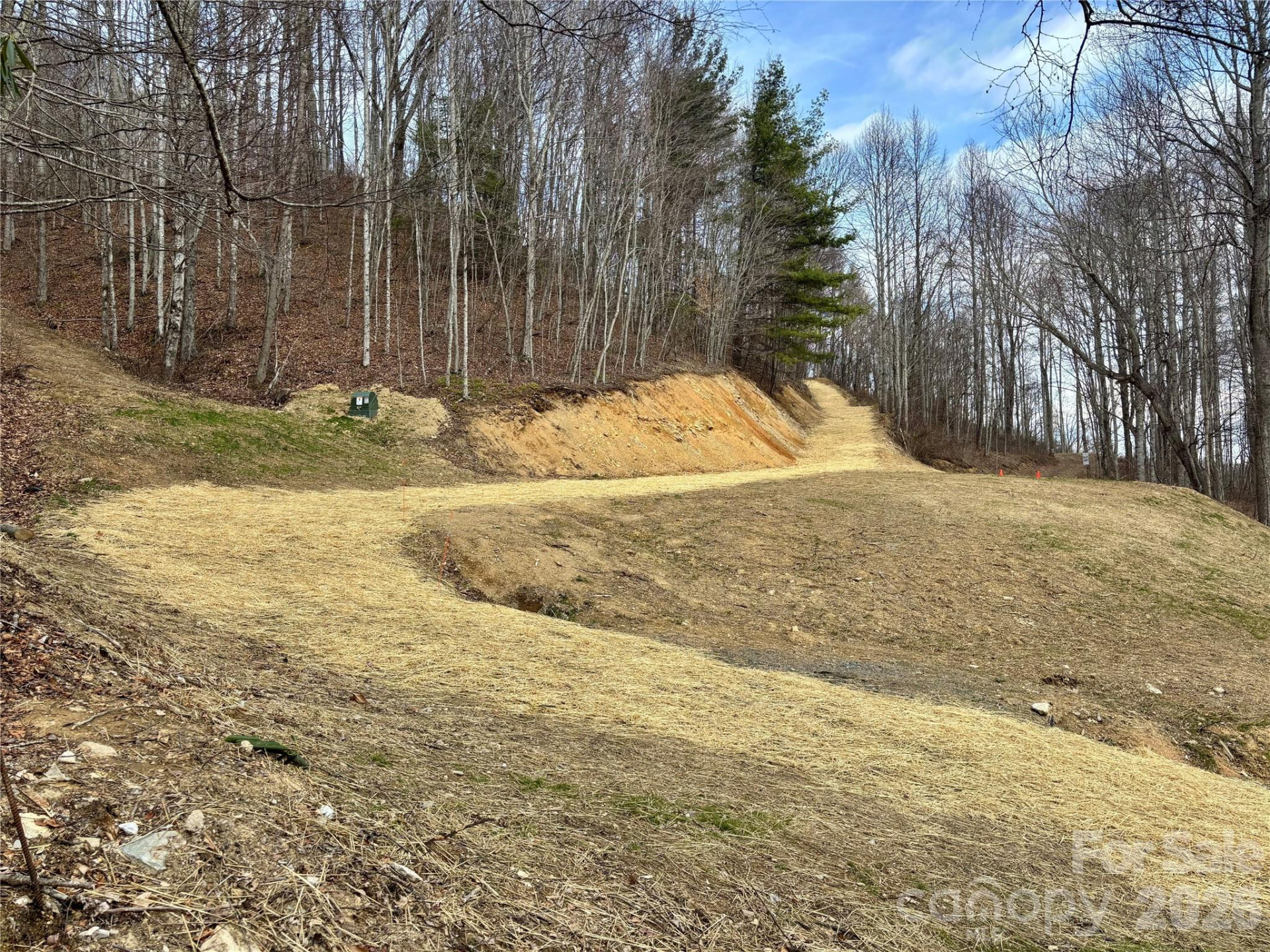 (NE Lot) Meadow Fork Road - Photo 12