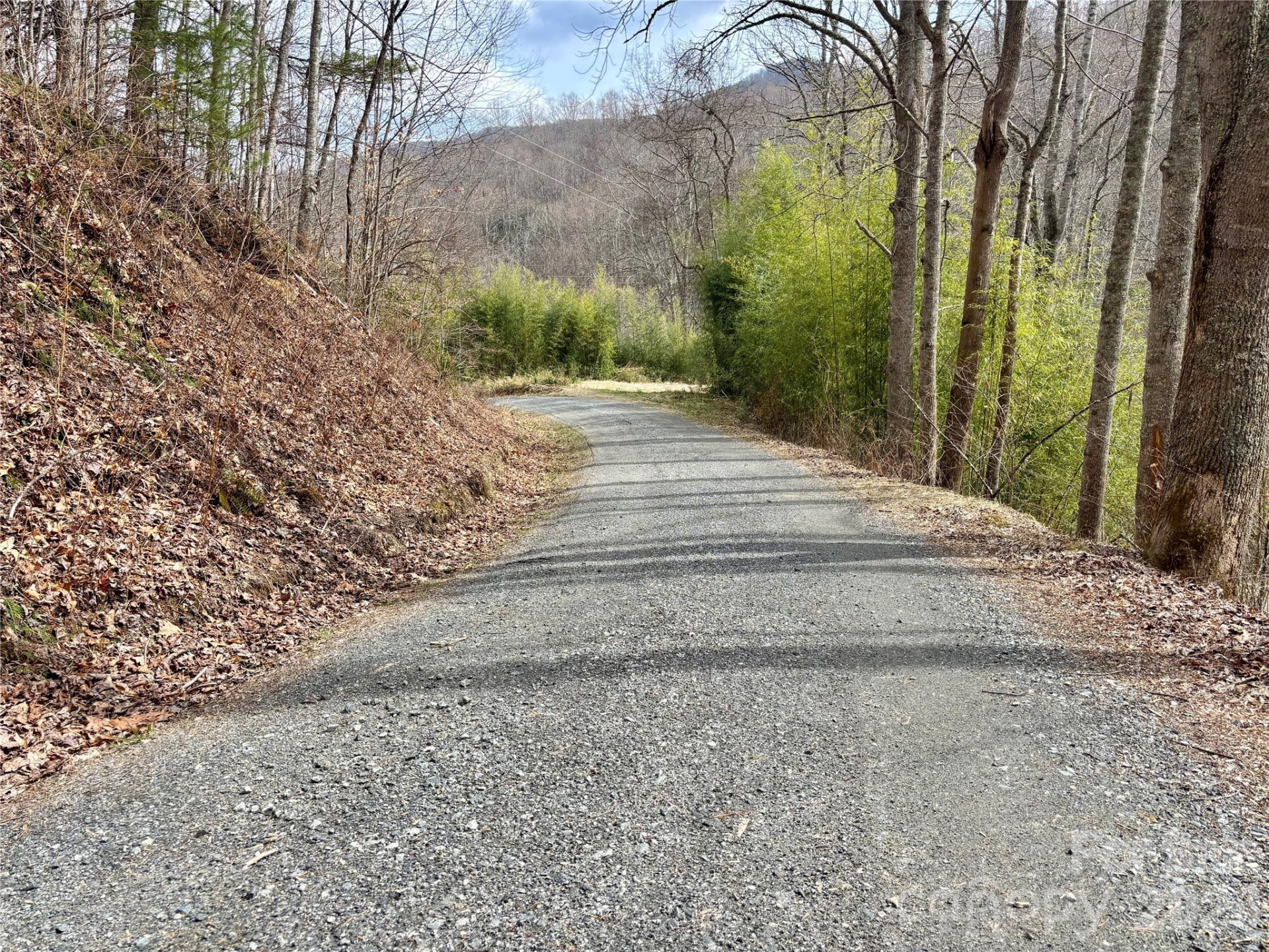 (NE Lot) Meadow Fork Road - Photo 15