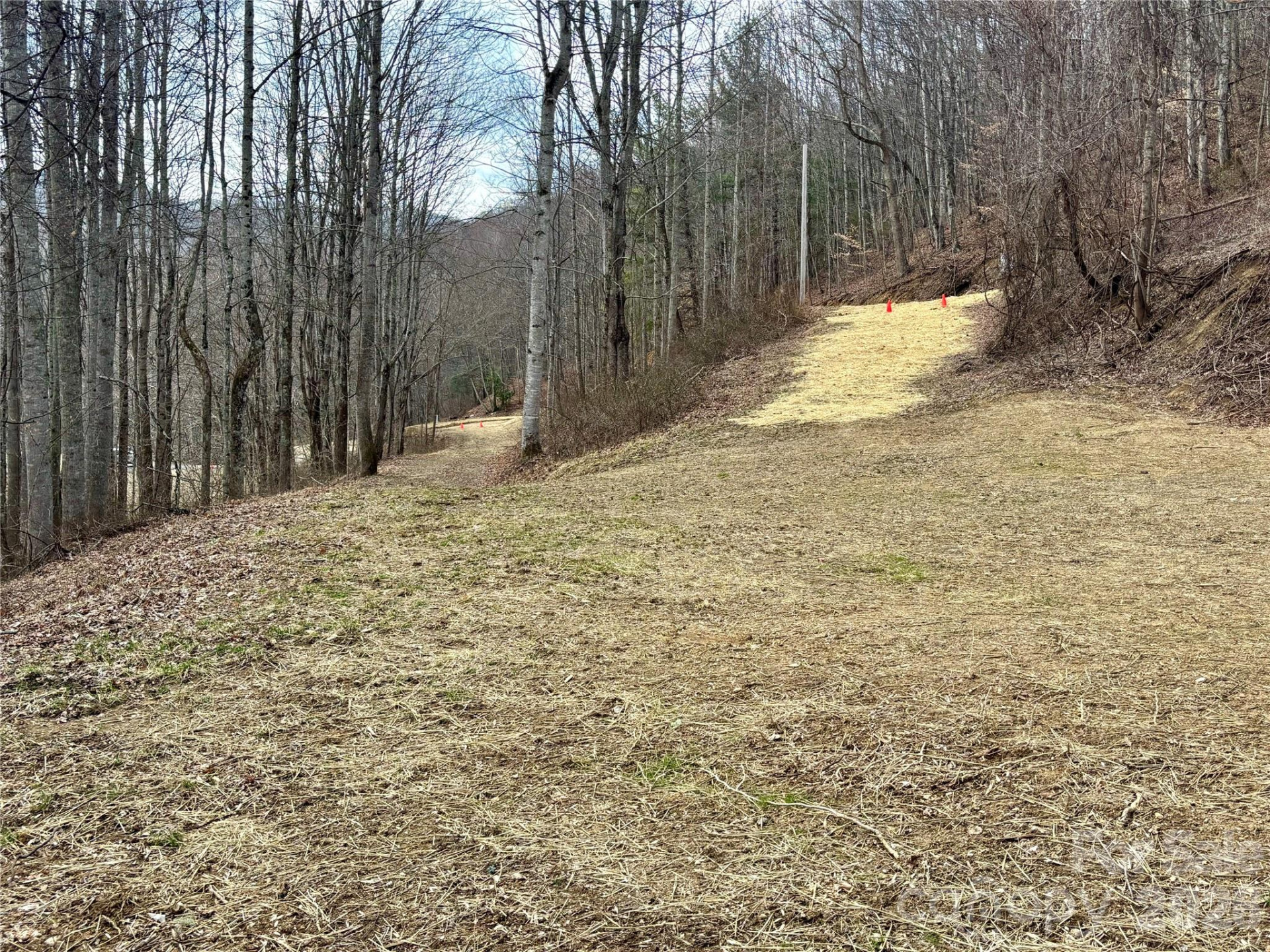 (NE Lot) Meadow Fork Road - Photo 3