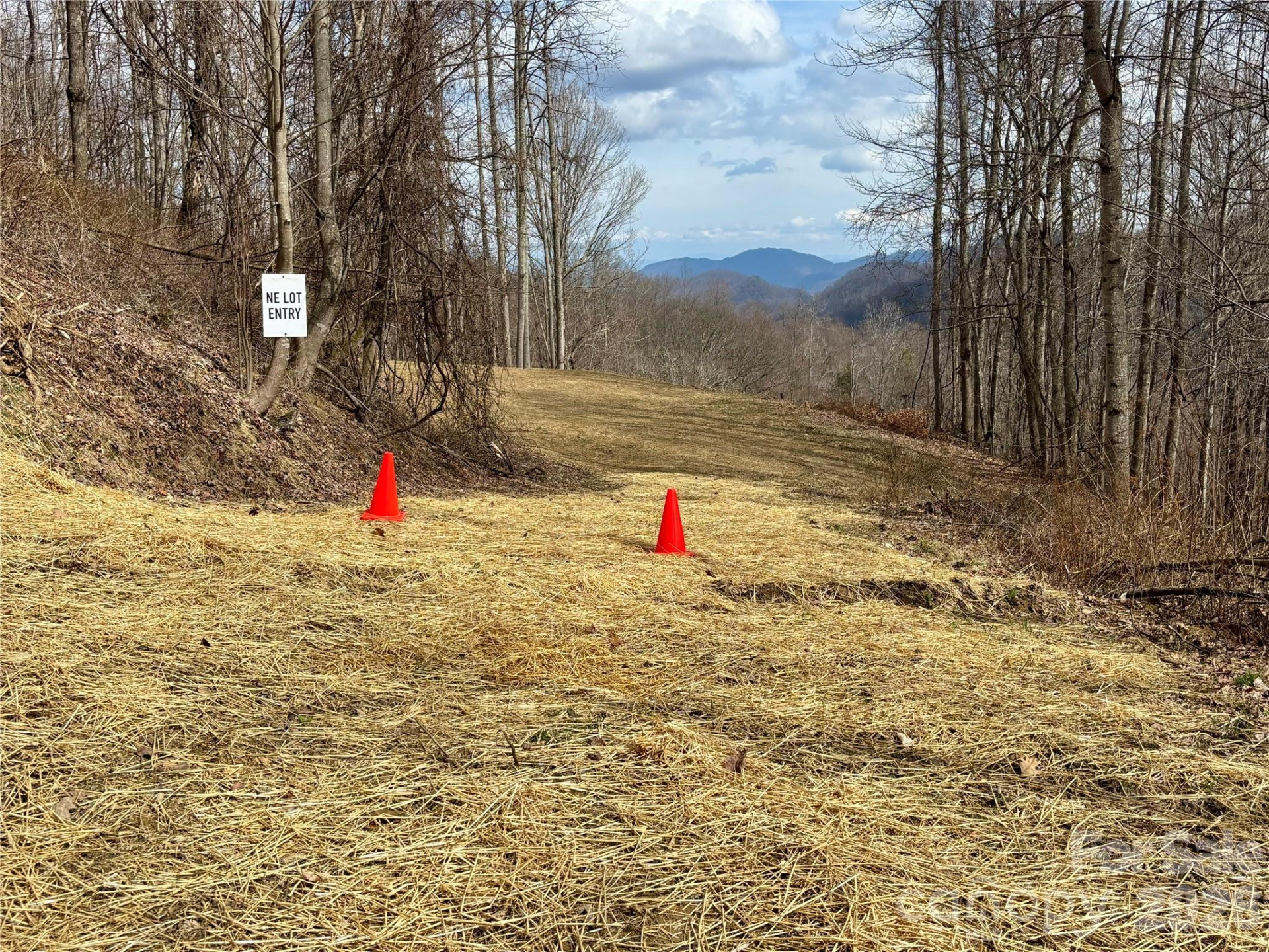 (NE Lot) Meadow Fork Road - Photo 4