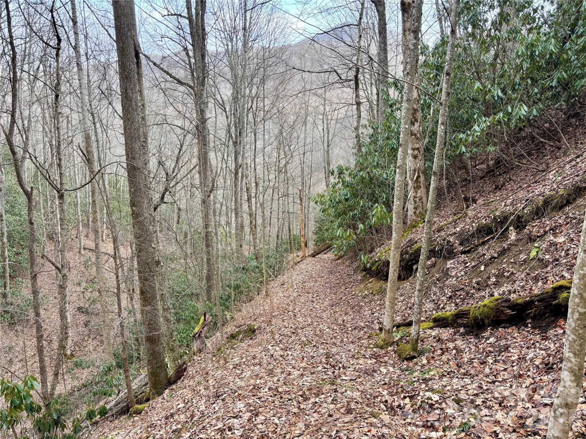 (NE Lot) Meadow Fork Road - Photo 6
