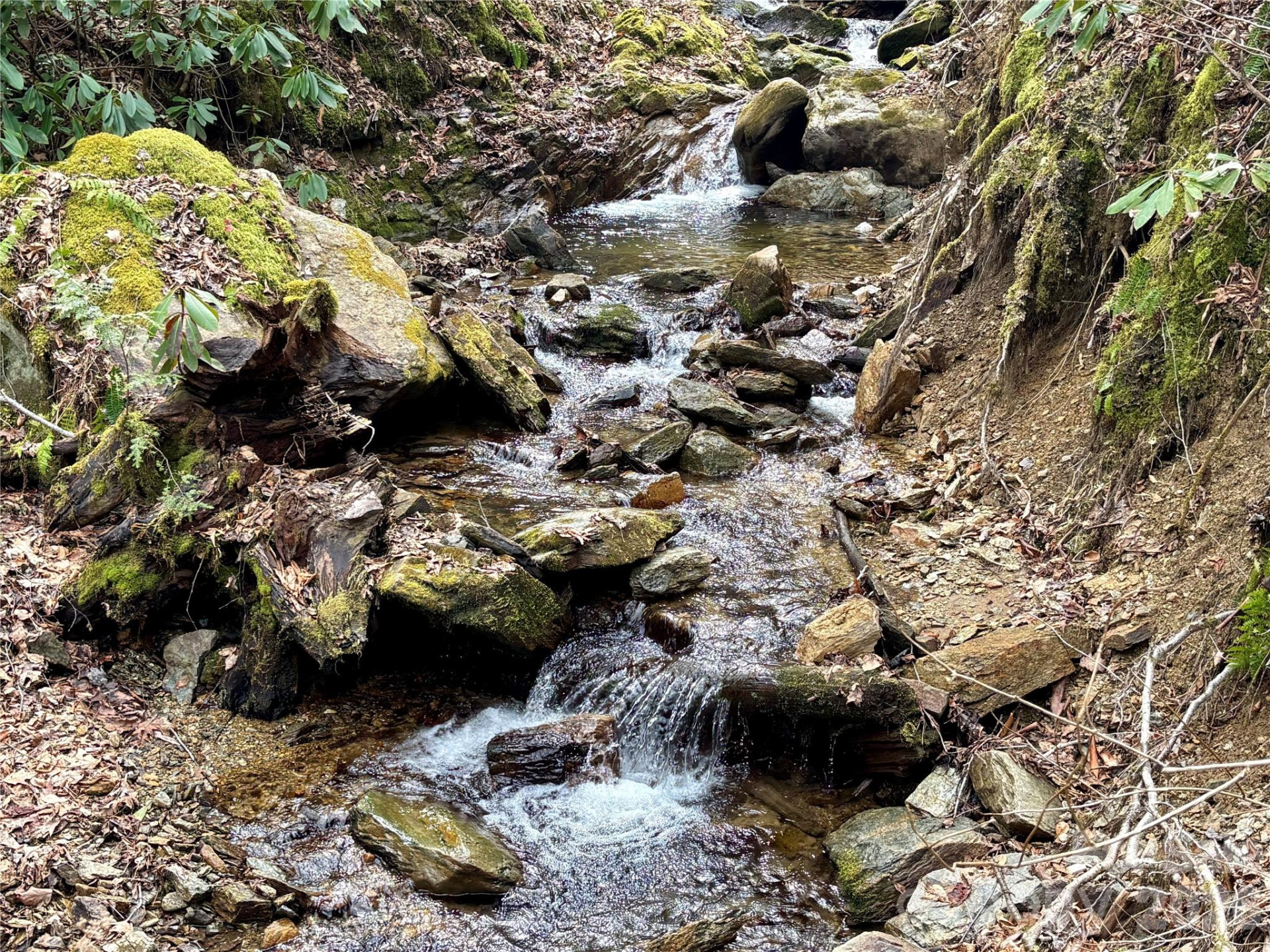 (NE Lot) Meadow Fork Road - Photo 7