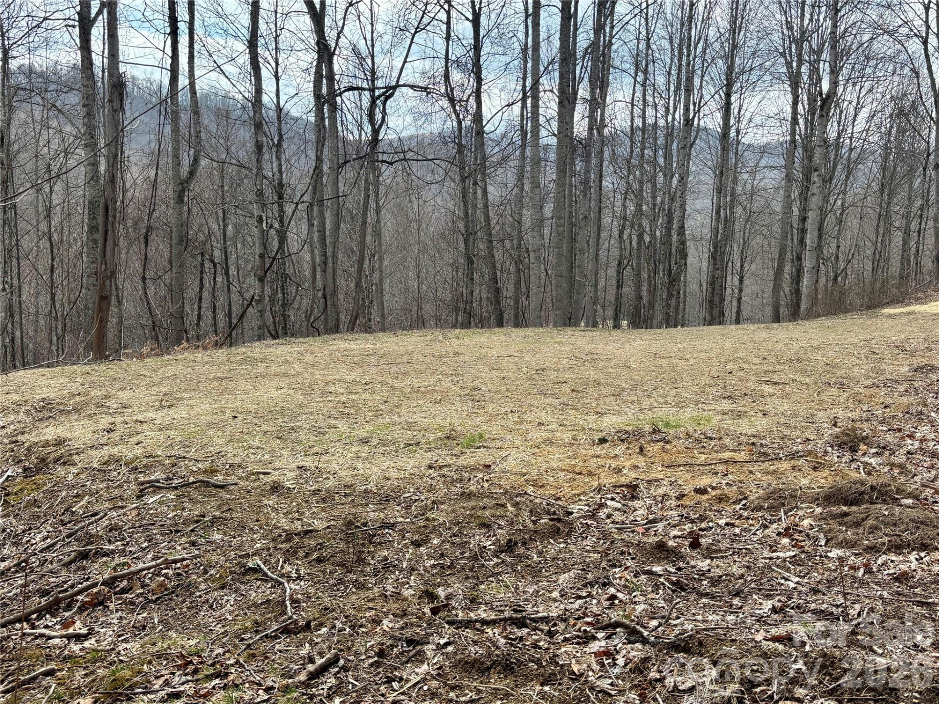 (NE Lot) Meadow Fork Road - Photo 8