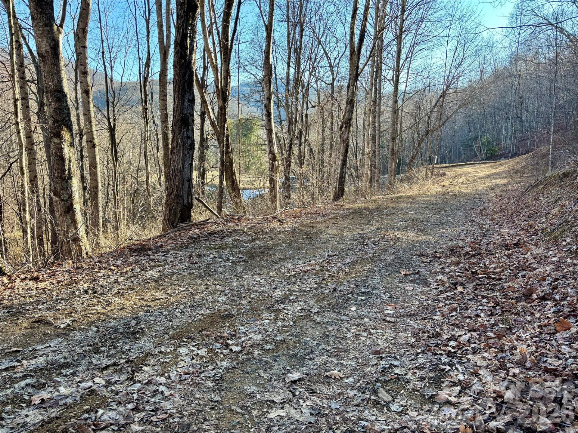 (NE Lot) Meadow Fork Road - Photo 9