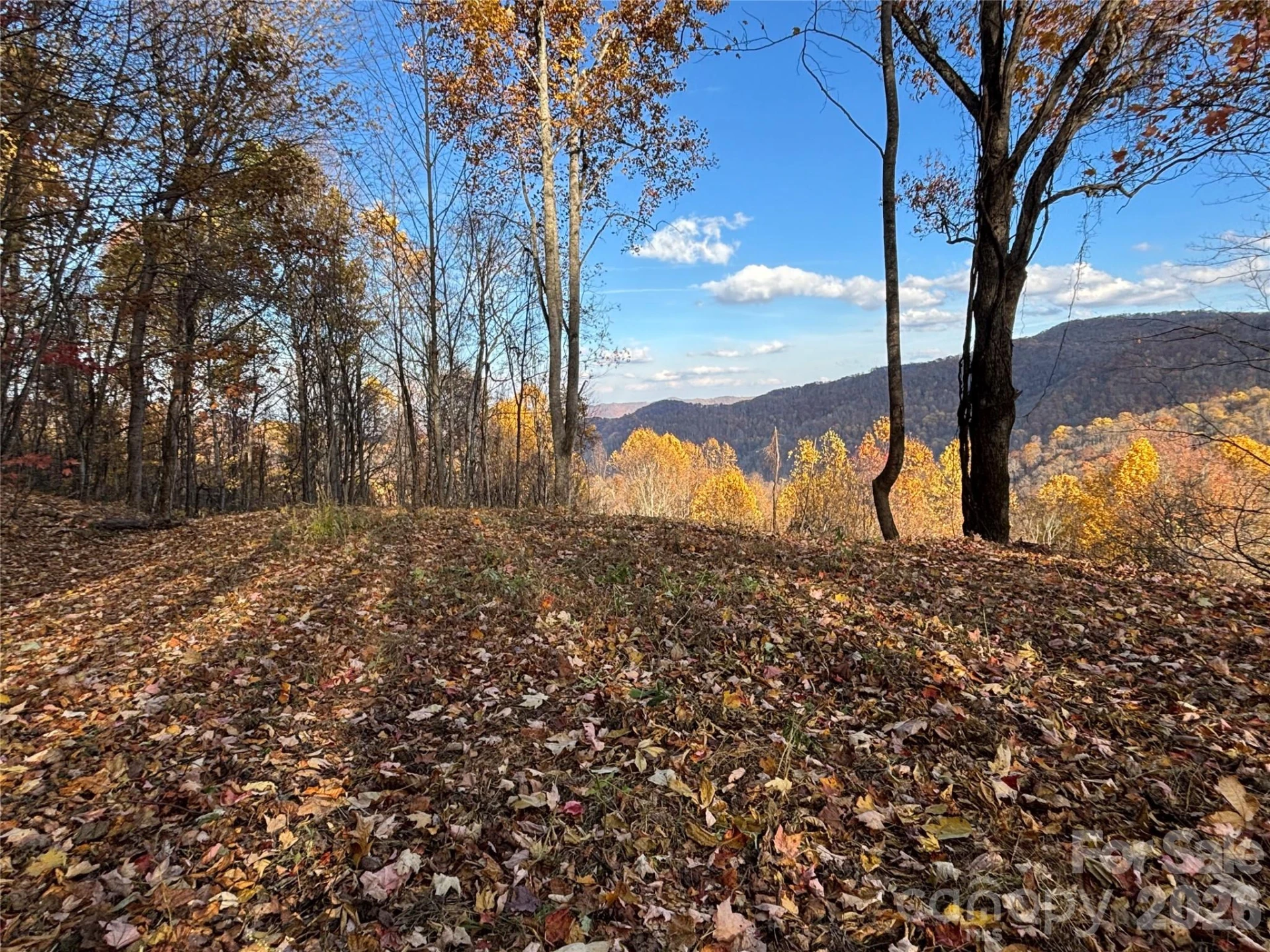 (North Lot) Meadow Fork Road