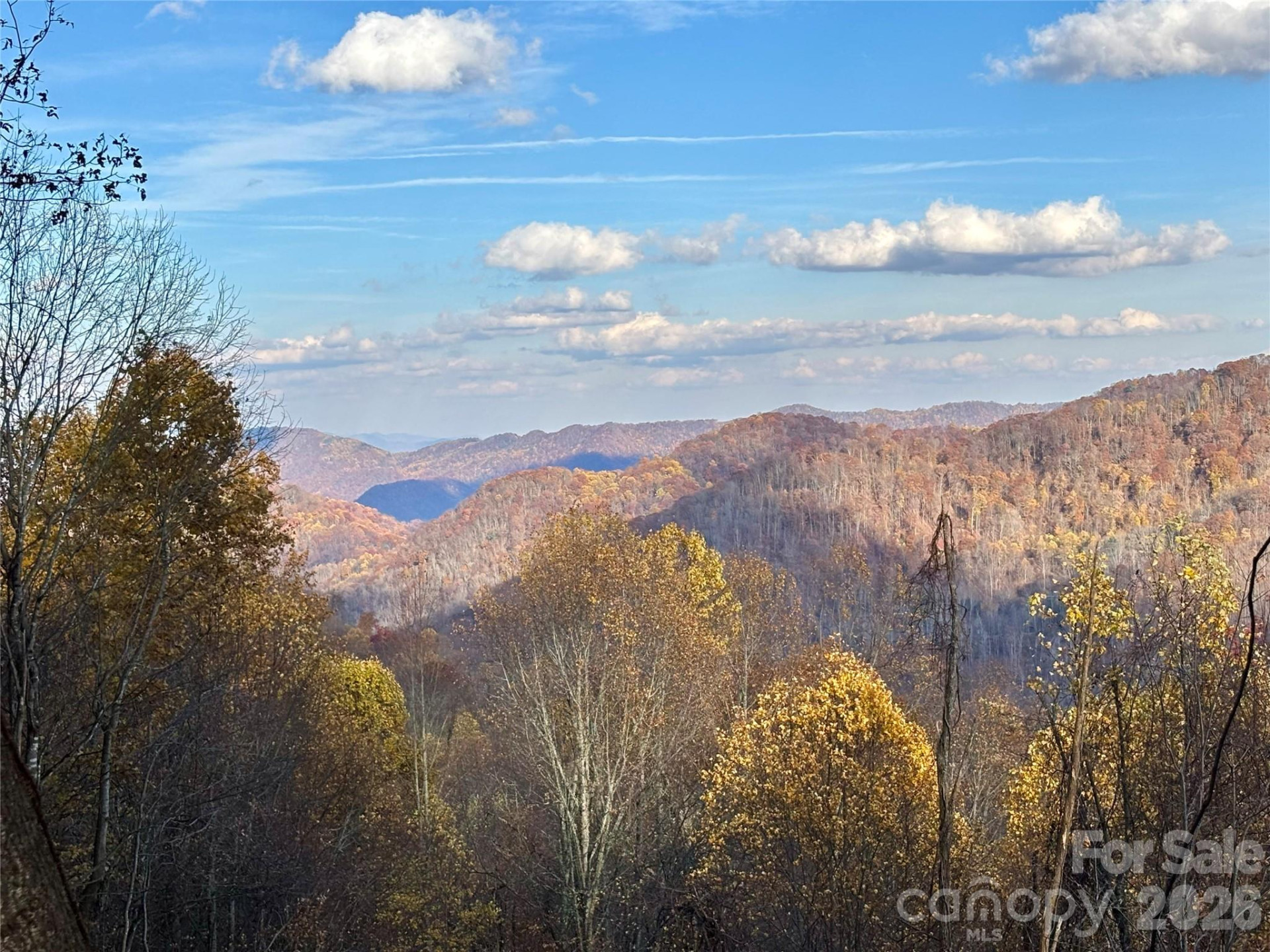 (North Lot) Meadow Fork Road - Photo 2