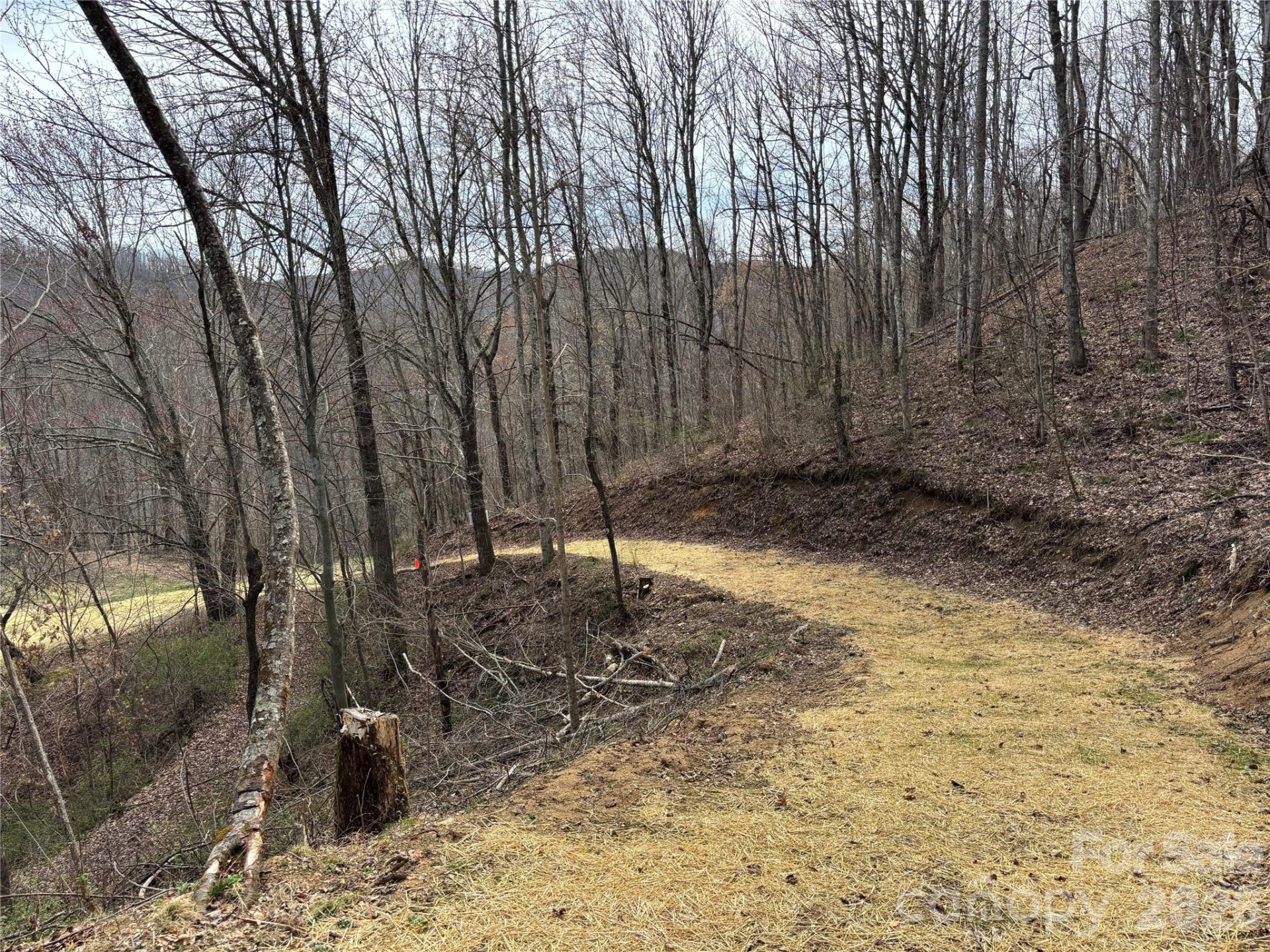 (North Lot) Meadow Fork Road - Photo 11