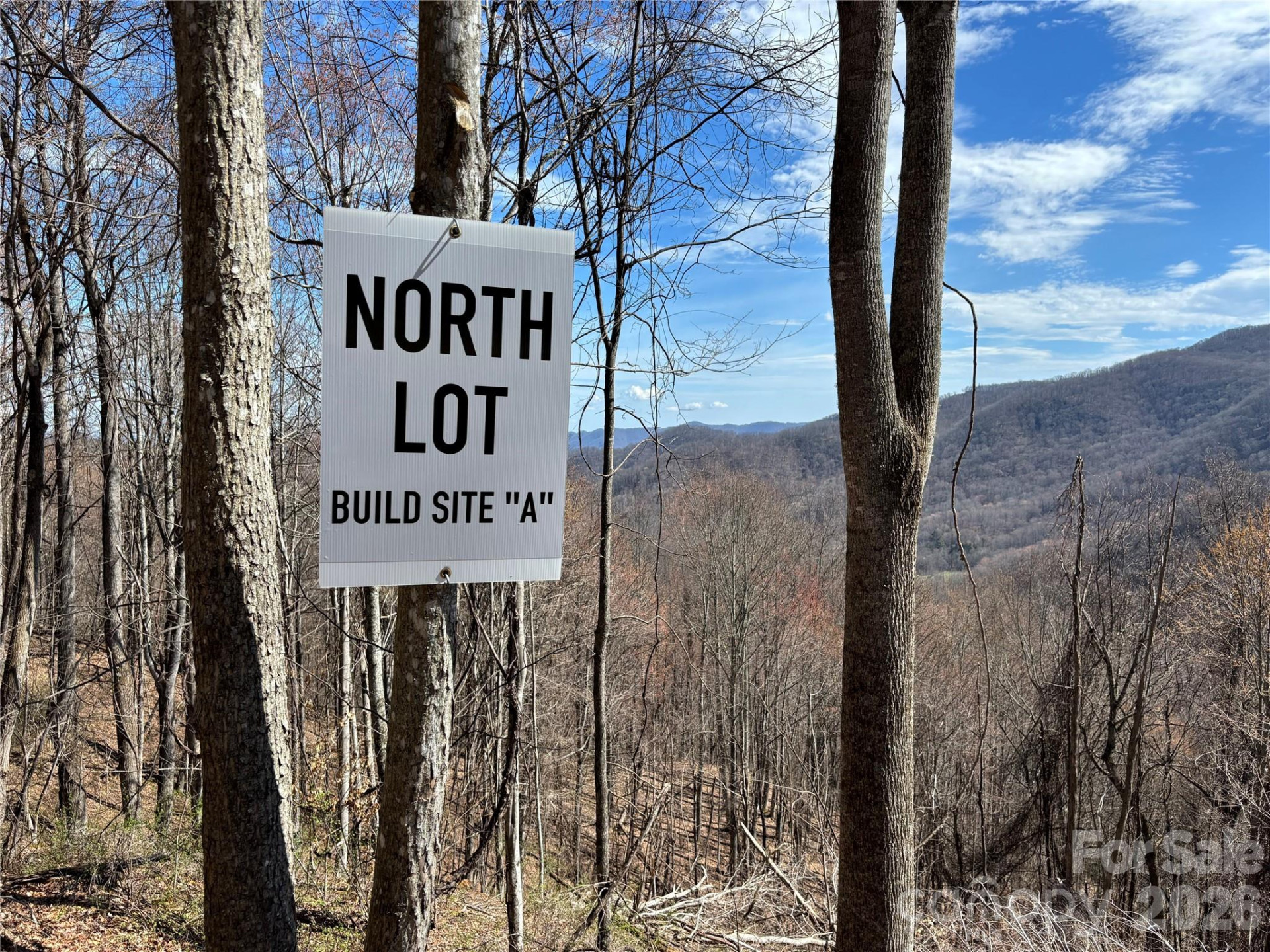 (North Lot) Meadow Fork Road - Photo 12