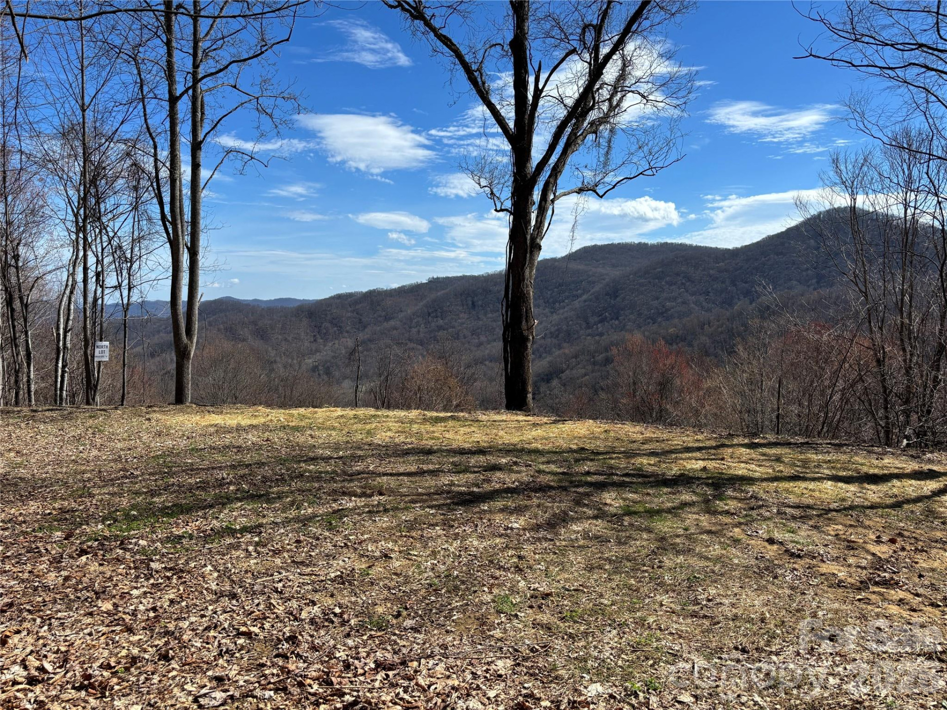 (North Lot) Meadow Fork Road - Photo 13