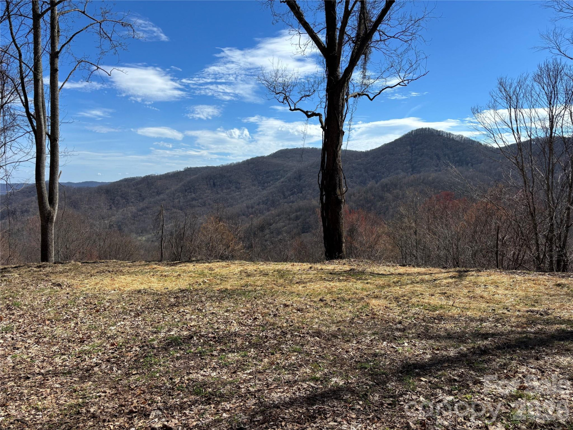 (North Lot) Meadow Fork Road - Photo 14