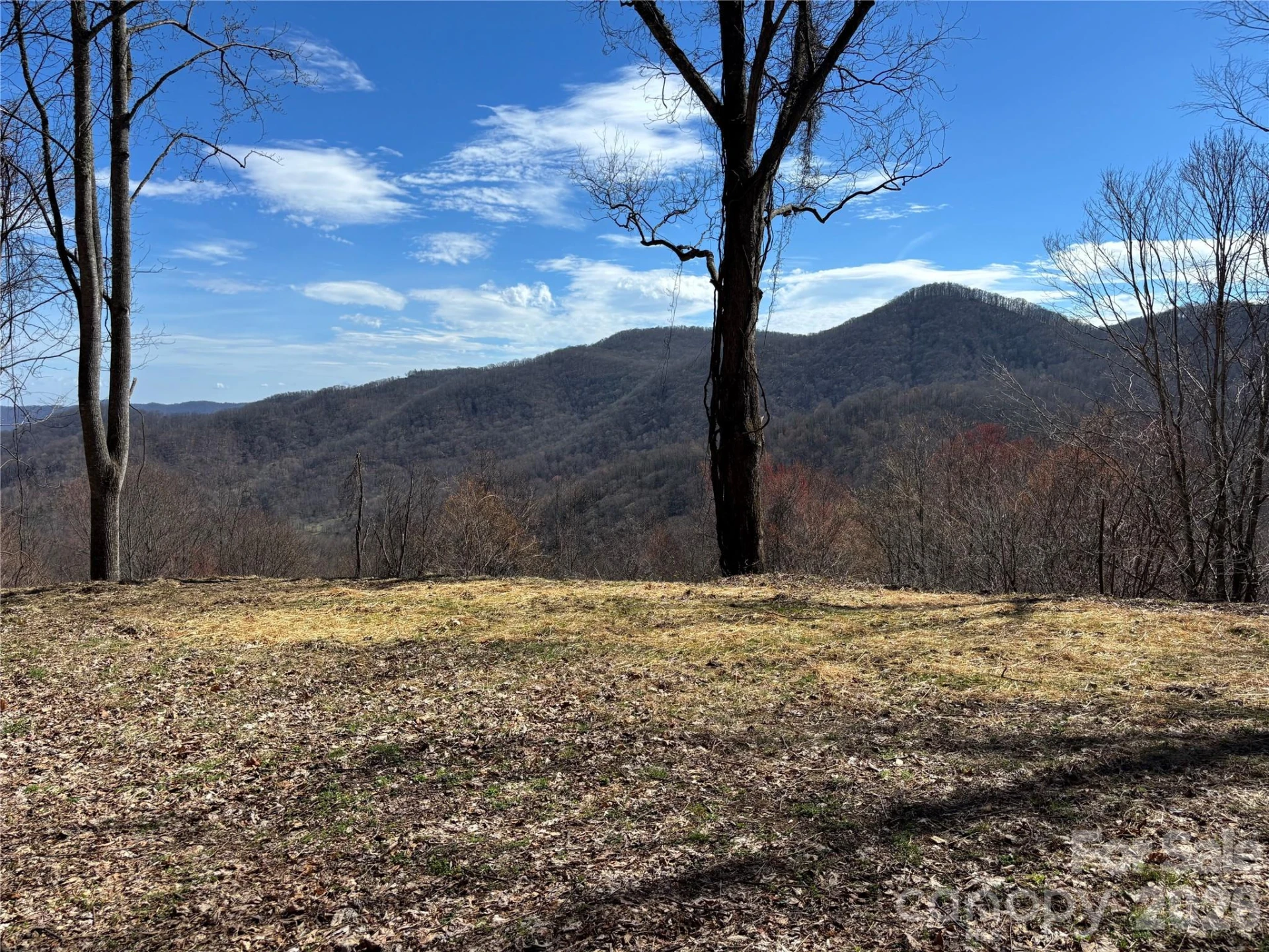 (North Lot) Meadow Fork Road - Photo 14