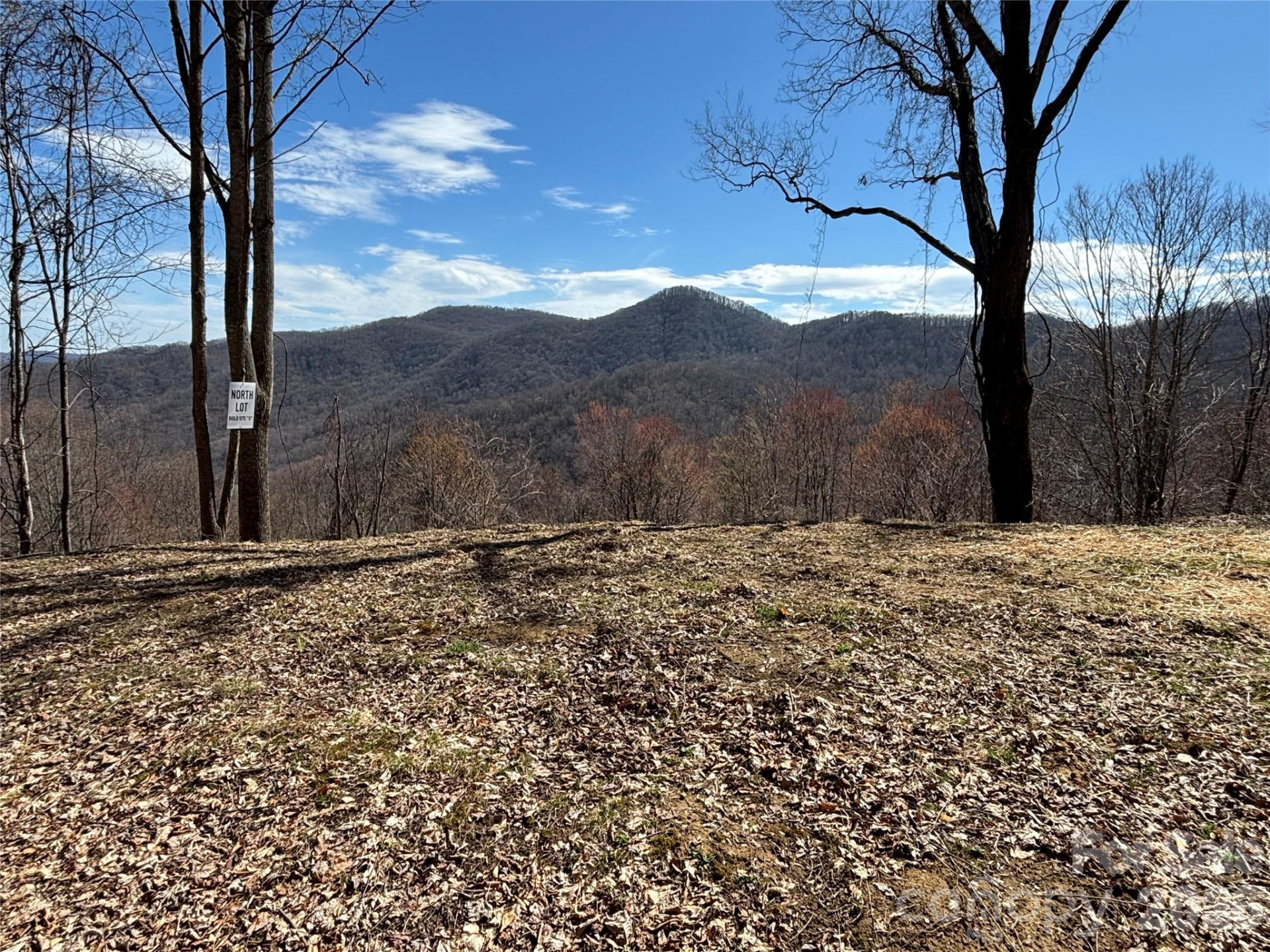 (North Lot) Meadow Fork Road - Photo 15