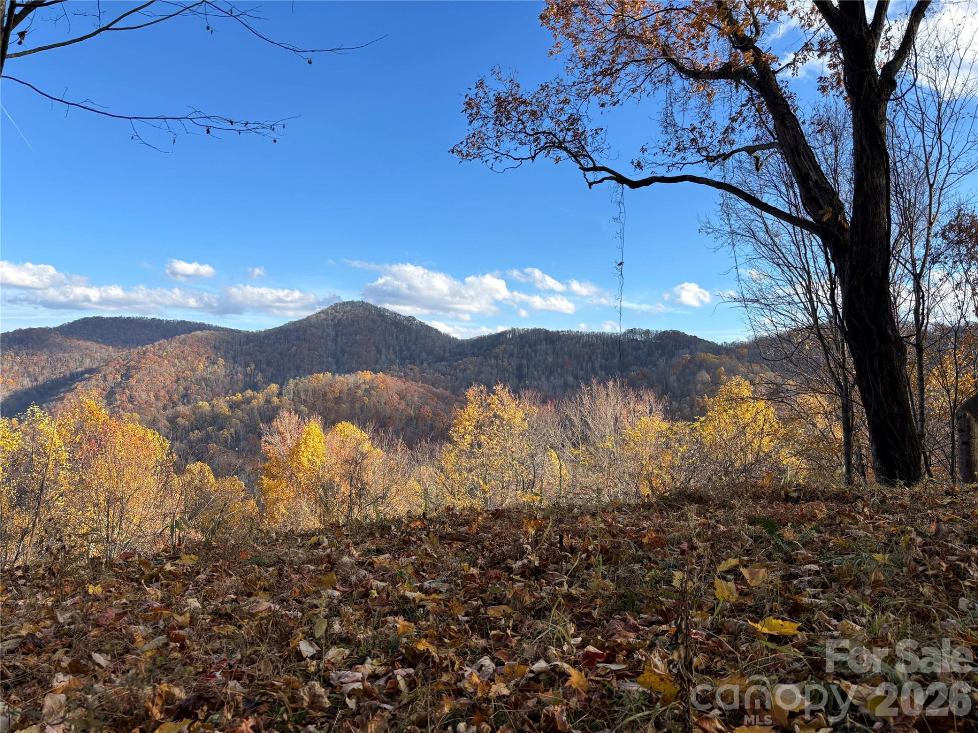 (North Lot) Meadow Fork Road - Photo 16