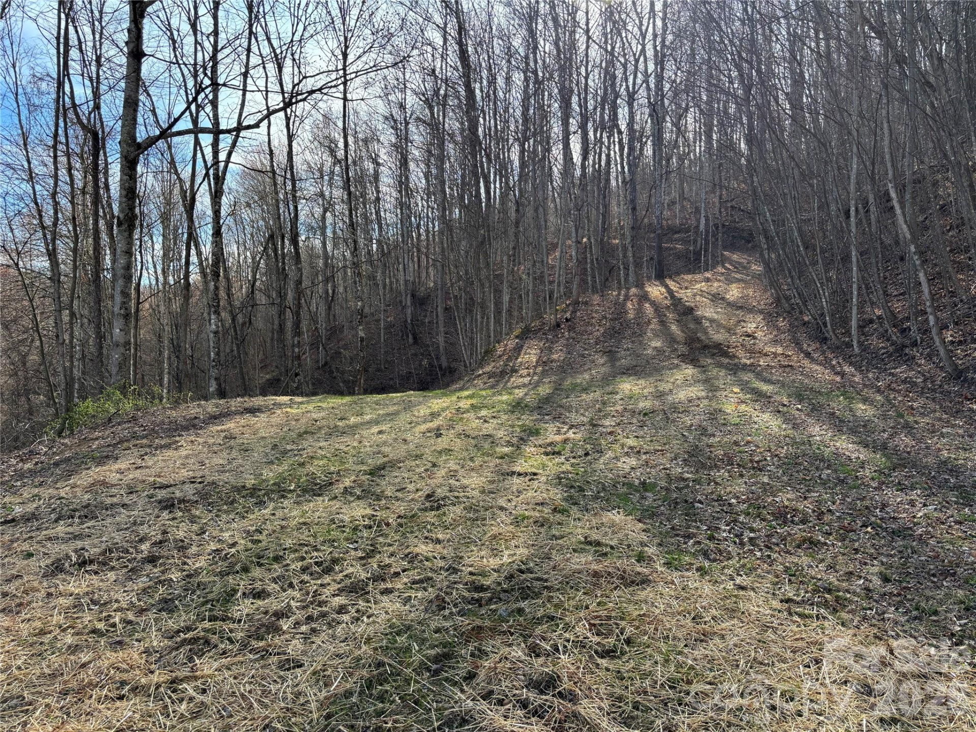 (North Lot) Meadow Fork Road - Photo 17