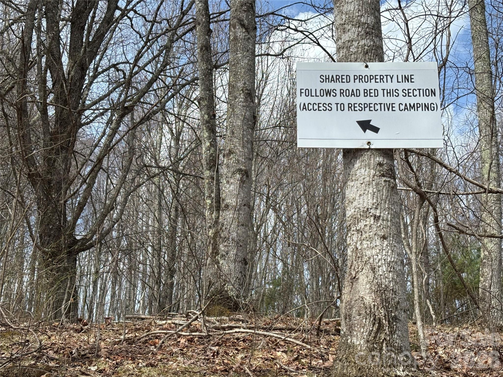 (North Lot) Meadow Fork Road - Photo 18