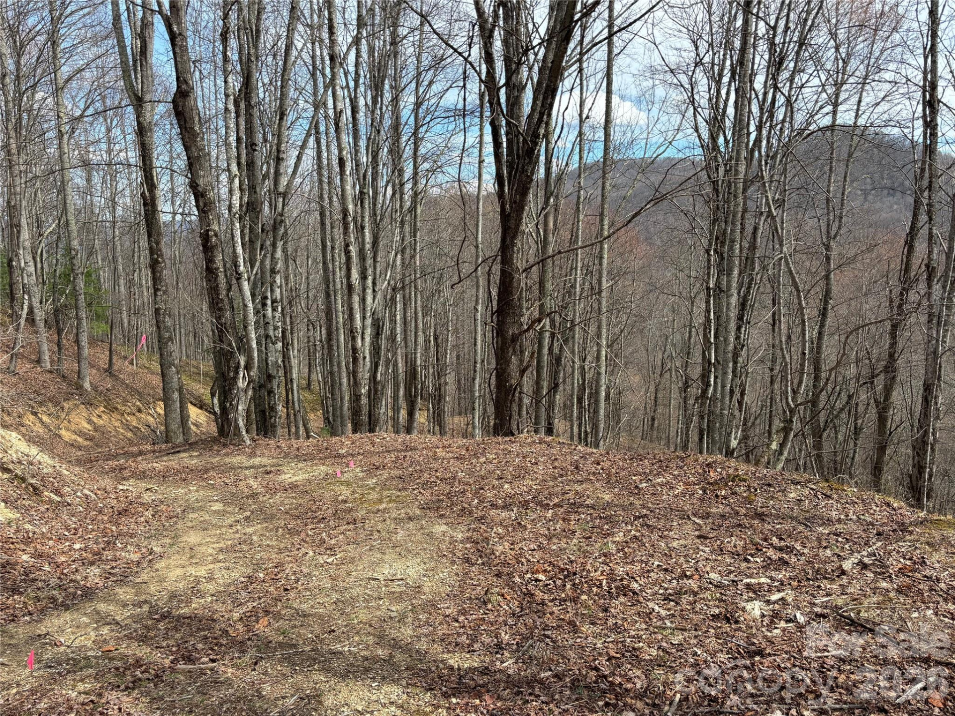 (North Lot) Meadow Fork Road - Photo 19