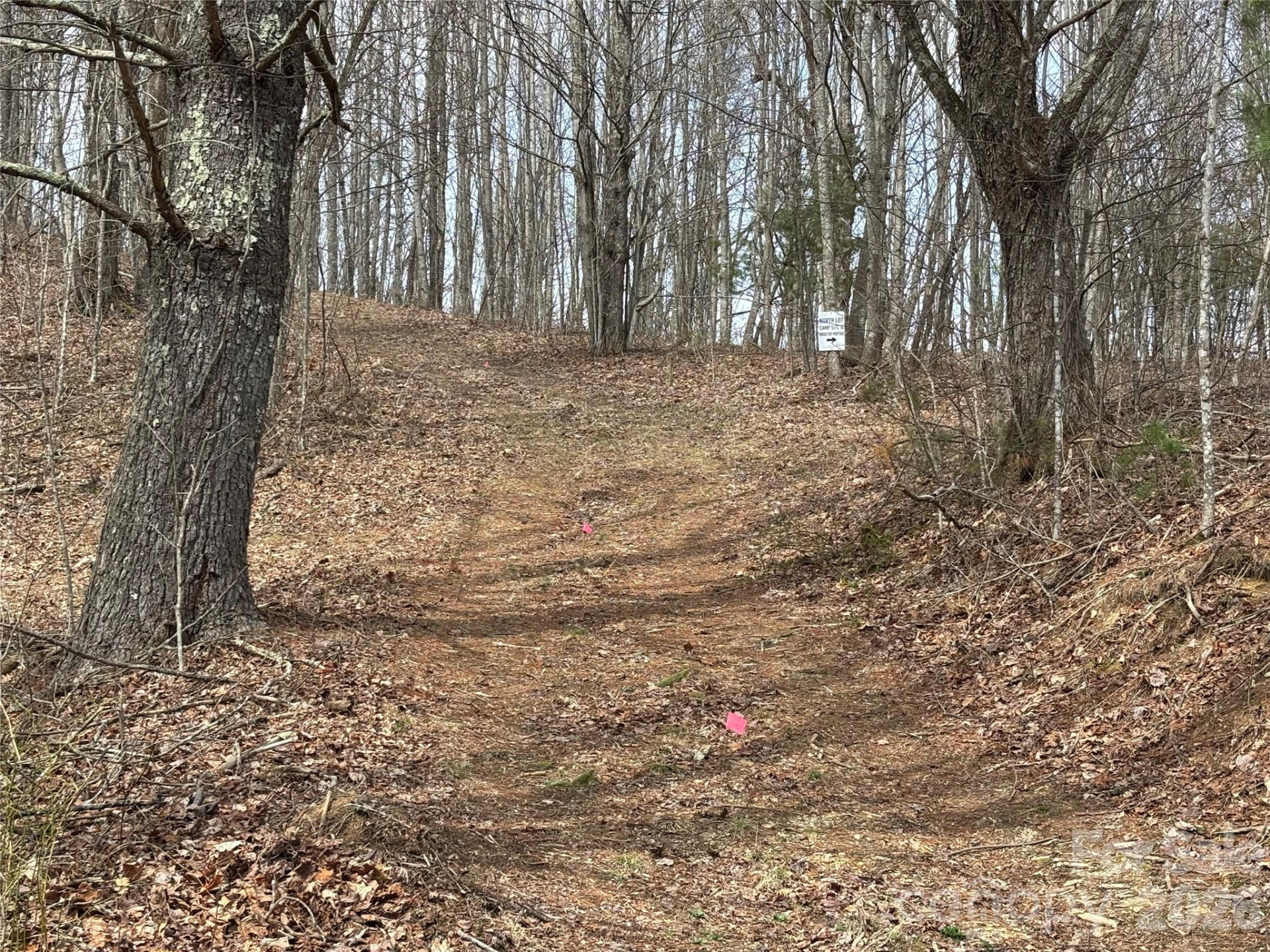 (North Lot) Meadow Fork Road - Photo 20