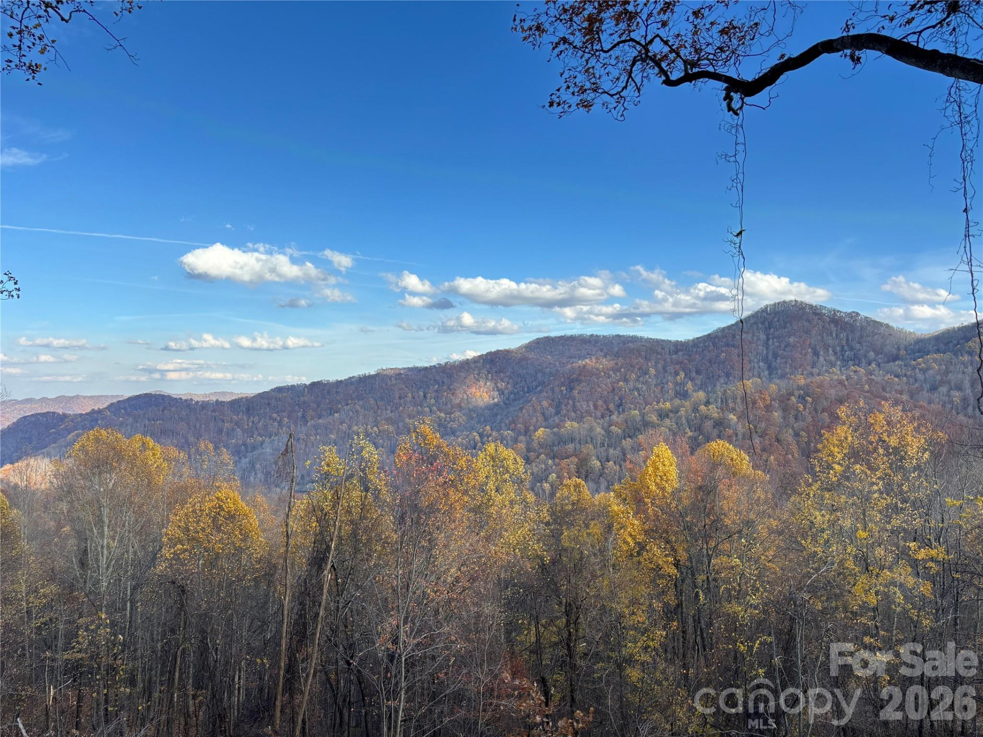 (North Lot) Meadow Fork Road - Photo 3