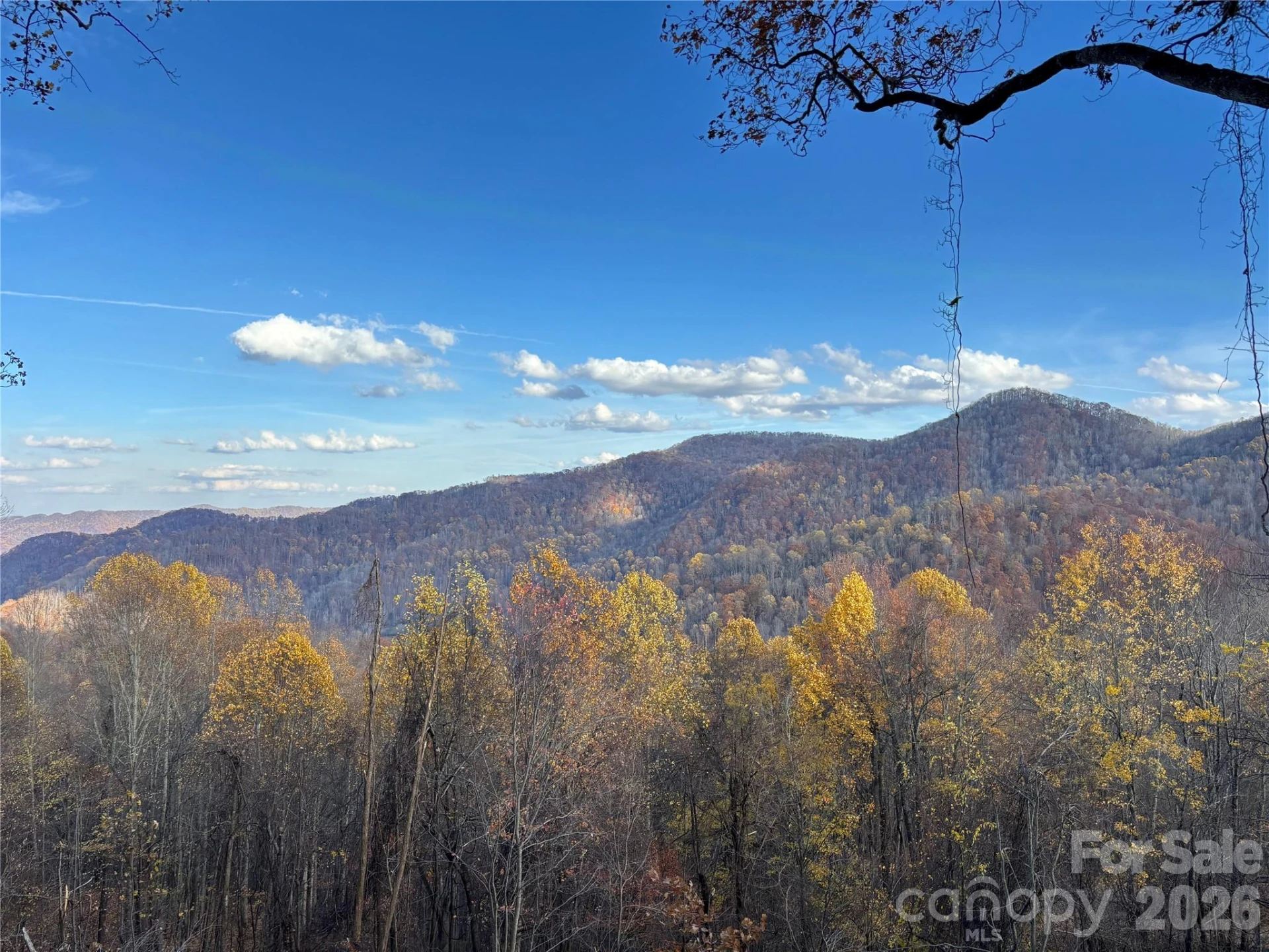 (North Lot) Meadow Fork Road - Photo 3