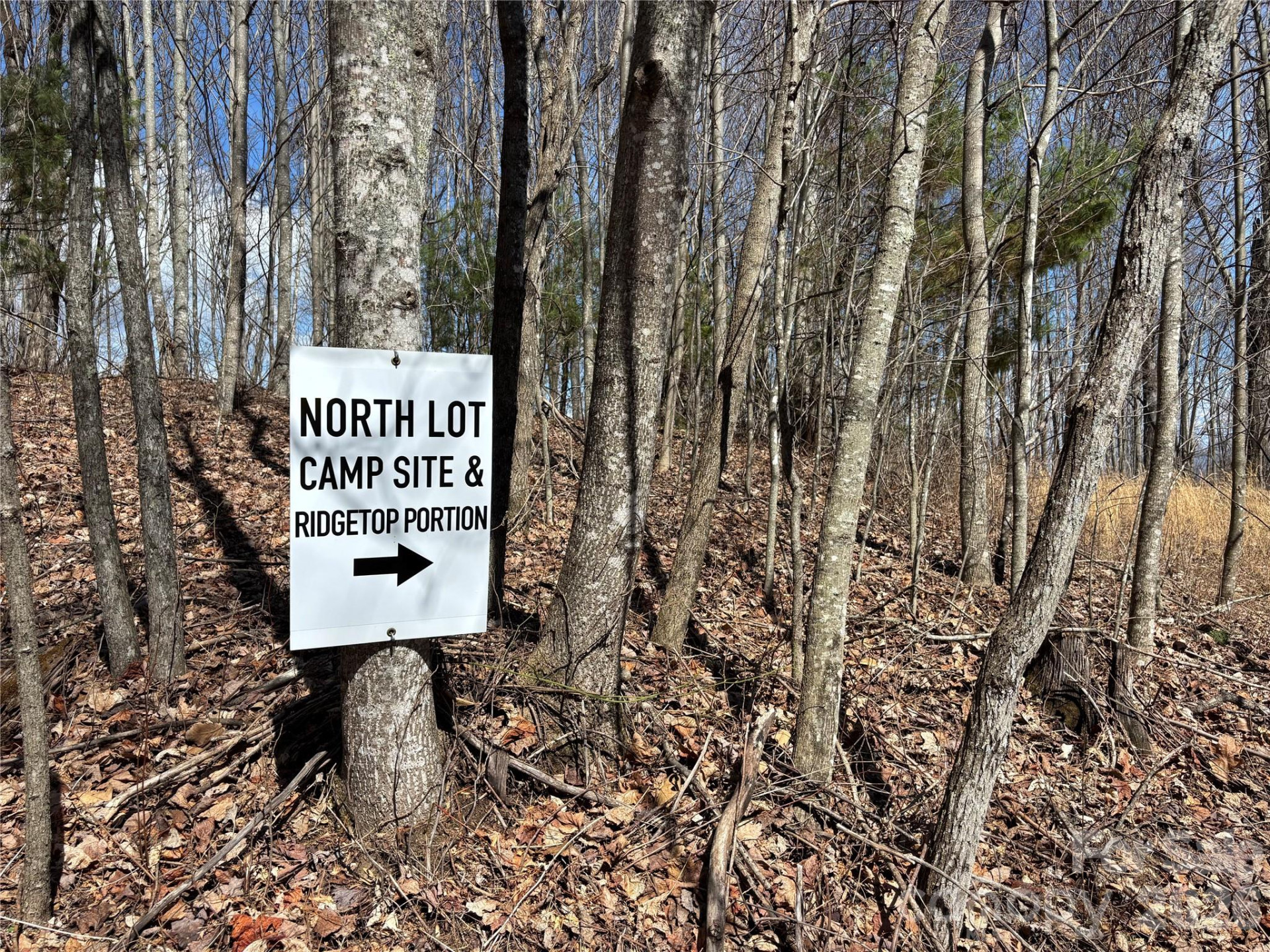 (North Lot) Meadow Fork Road - Photo 21