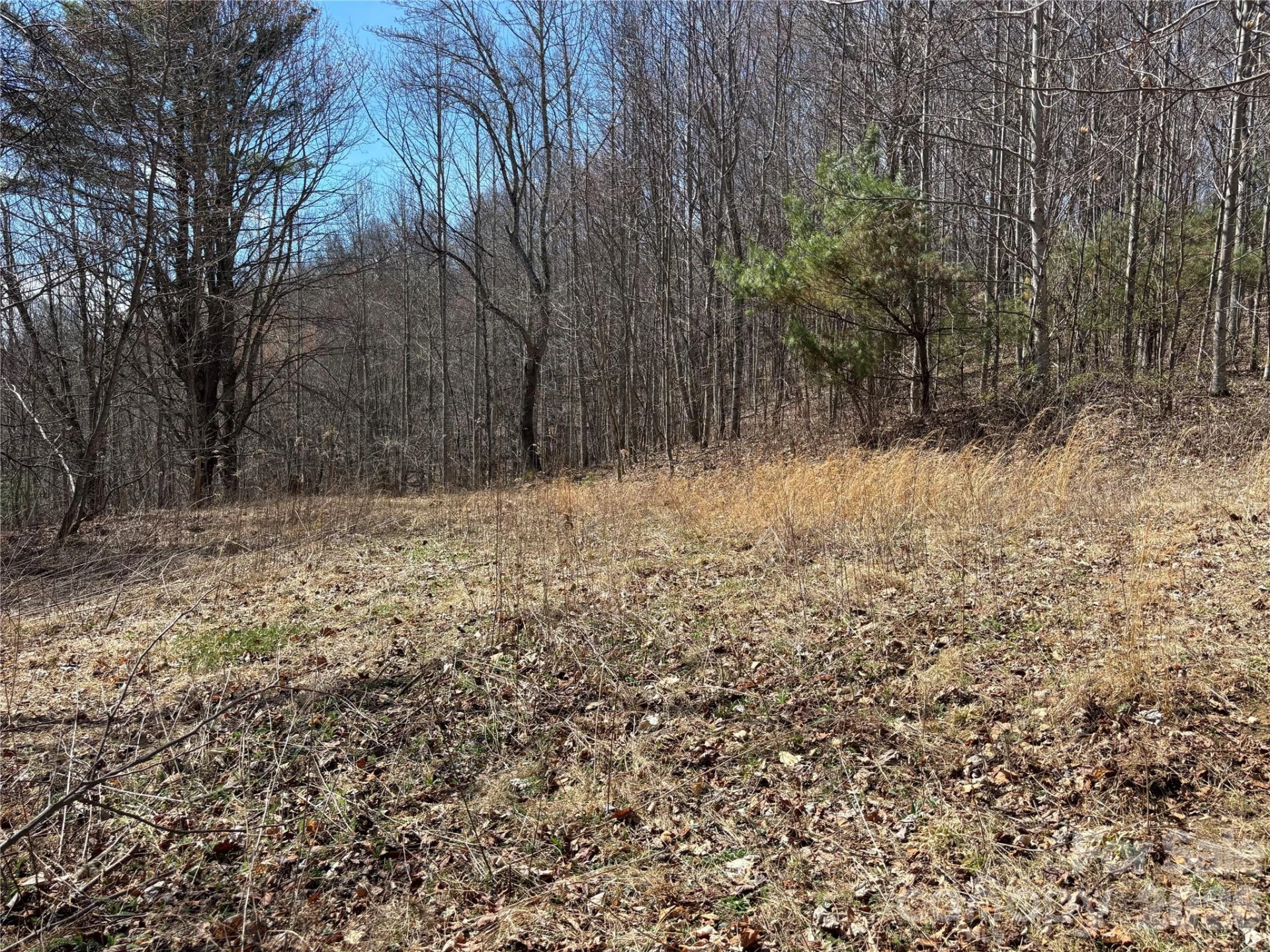 (North Lot) Meadow Fork Road - Photo 22