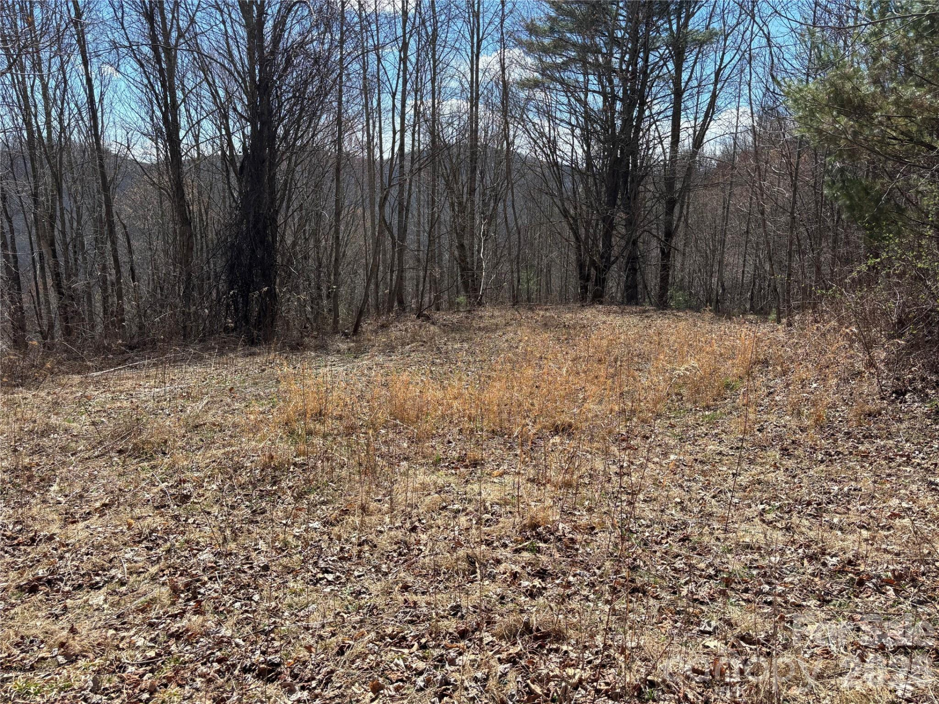 (North Lot) Meadow Fork Road - Photo 23