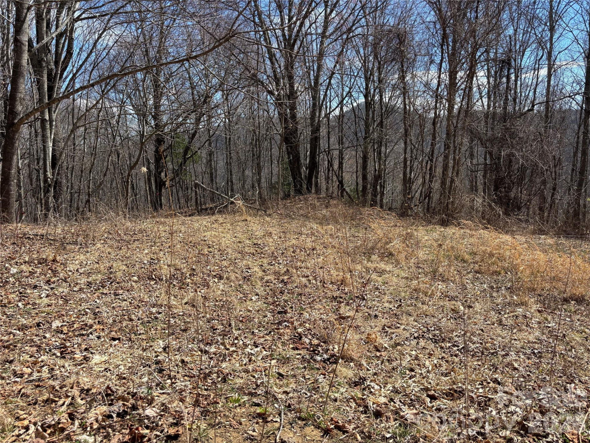 (North Lot) Meadow Fork Road - Photo 24