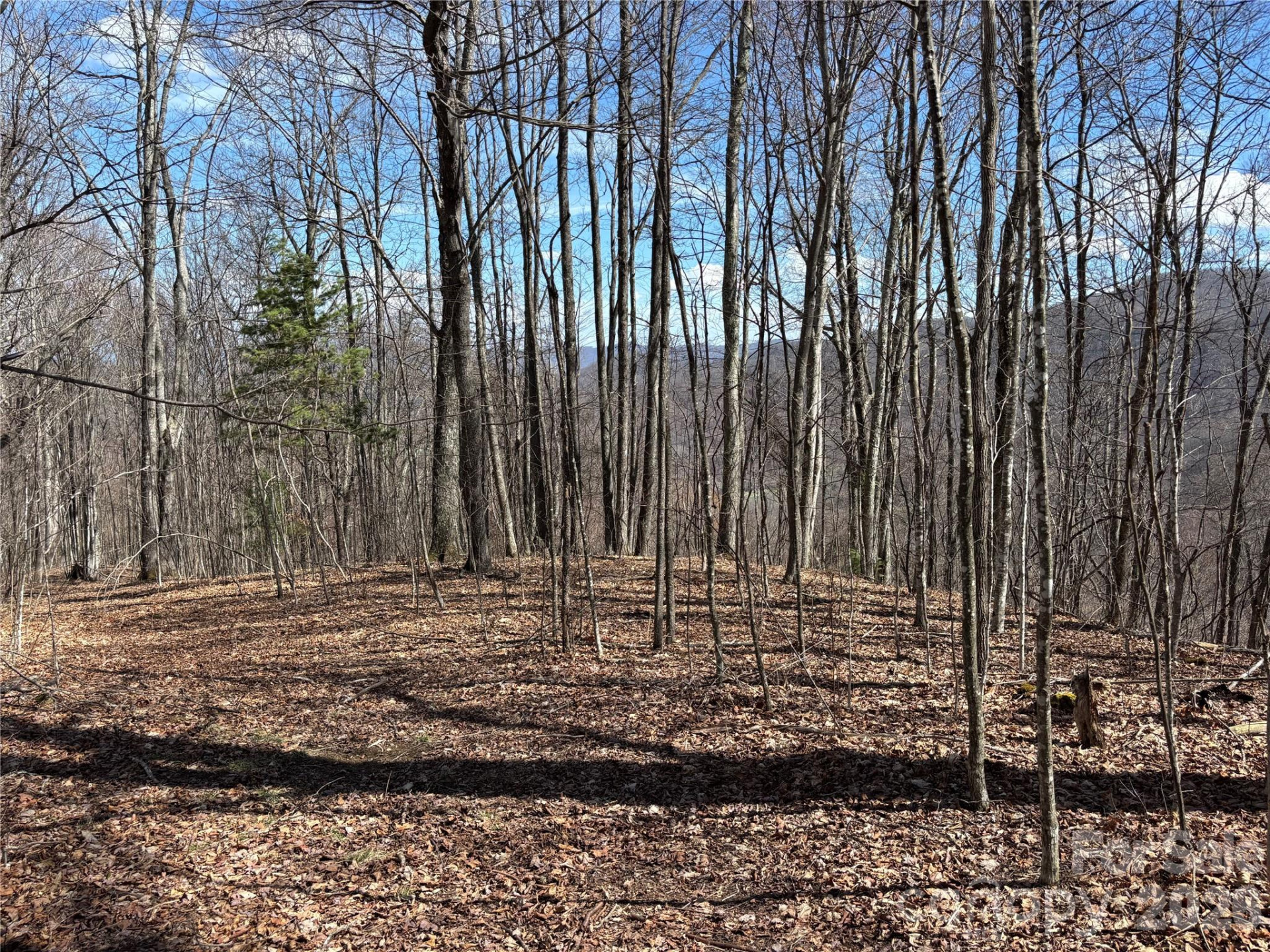 (North Lot) Meadow Fork Road - Photo 25