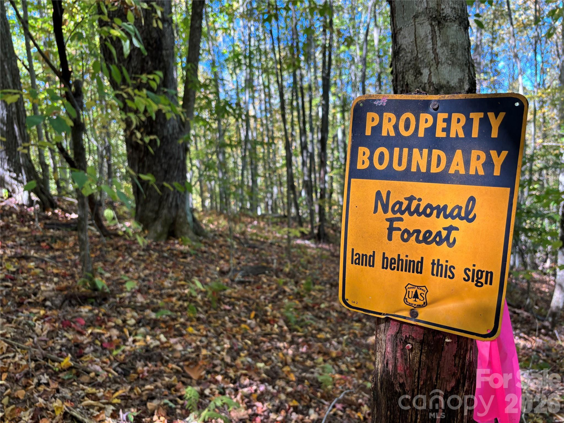 (North Lot) Meadow Fork Road - Photo 26