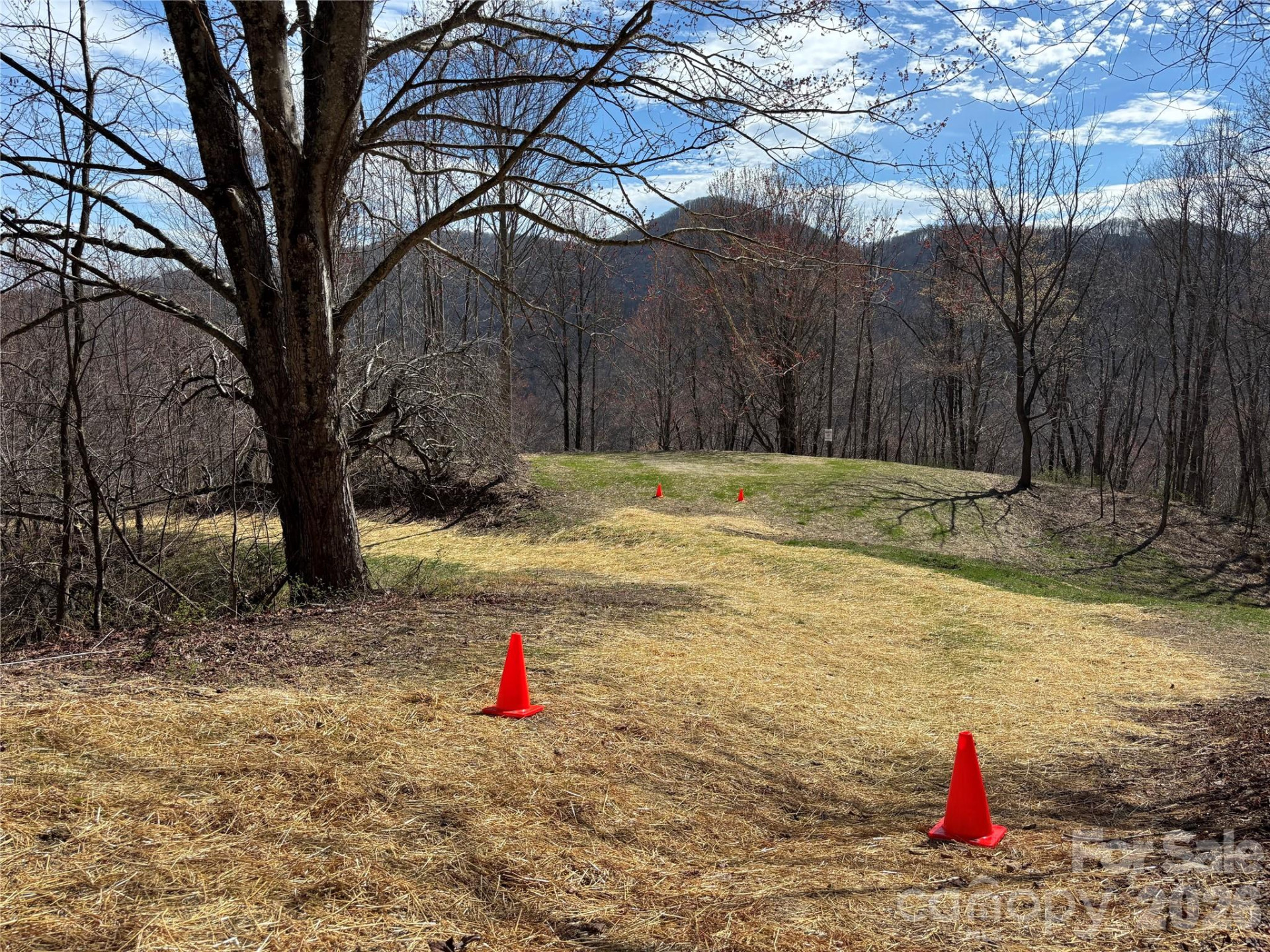 (North Lot) Meadow Fork Road - Photo 28
