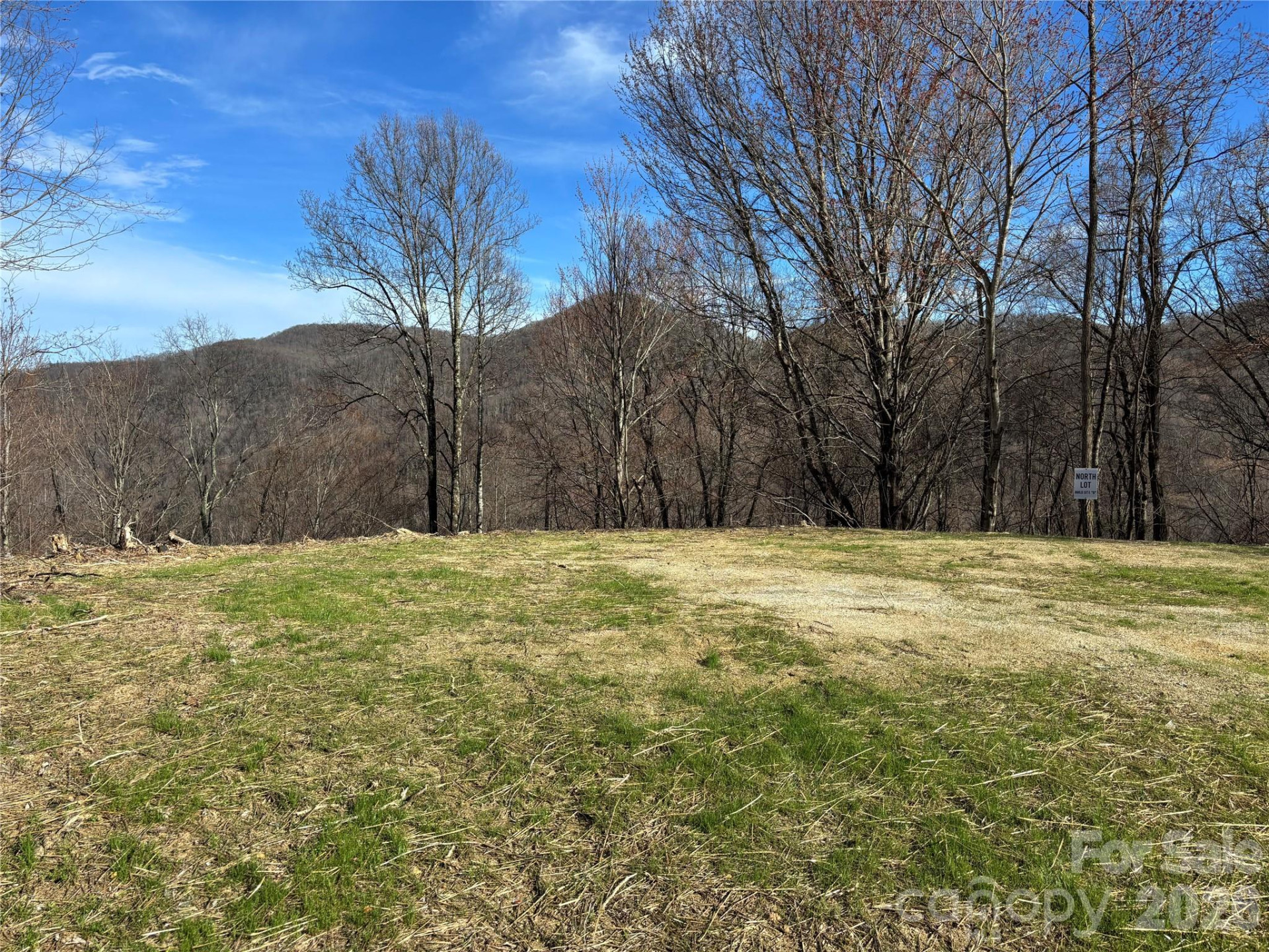 (North Lot) Meadow Fork Road - Photo 29