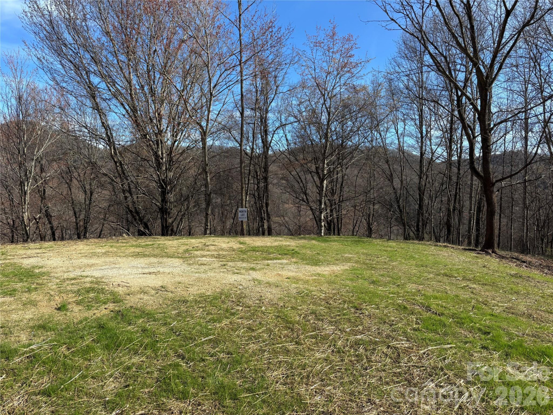 (North Lot) Meadow Fork Road - Photo 30