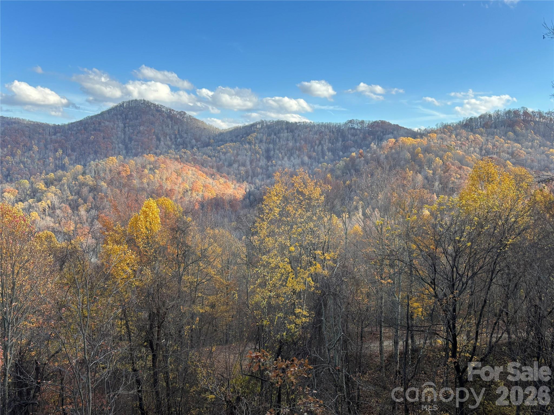 (North Lot) Meadow Fork Road - Photo 4