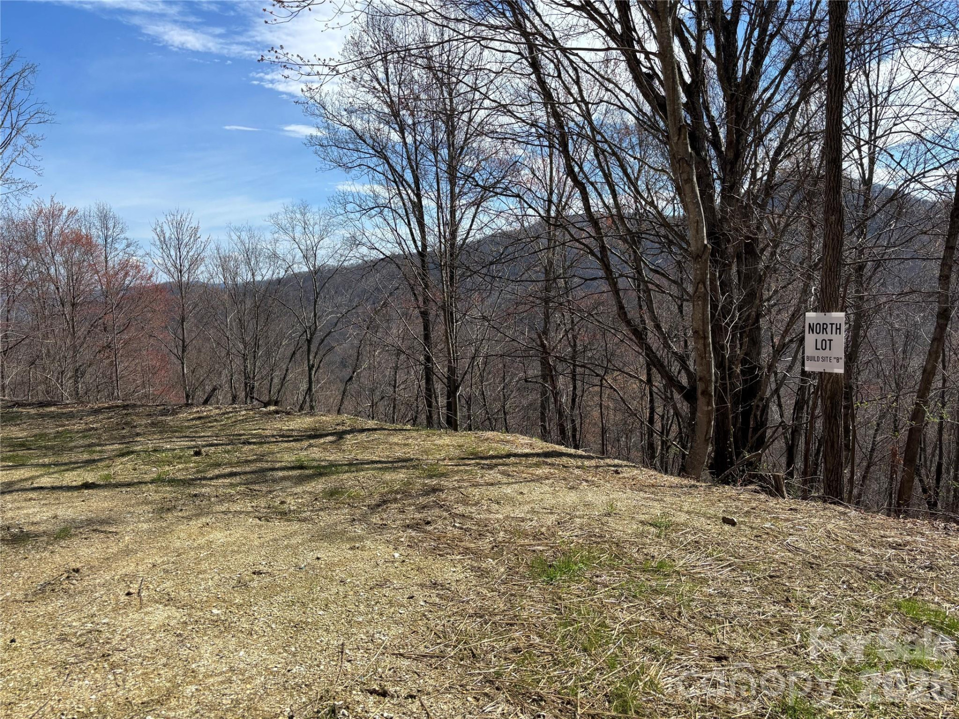 (North Lot) Meadow Fork Road - Photo 31