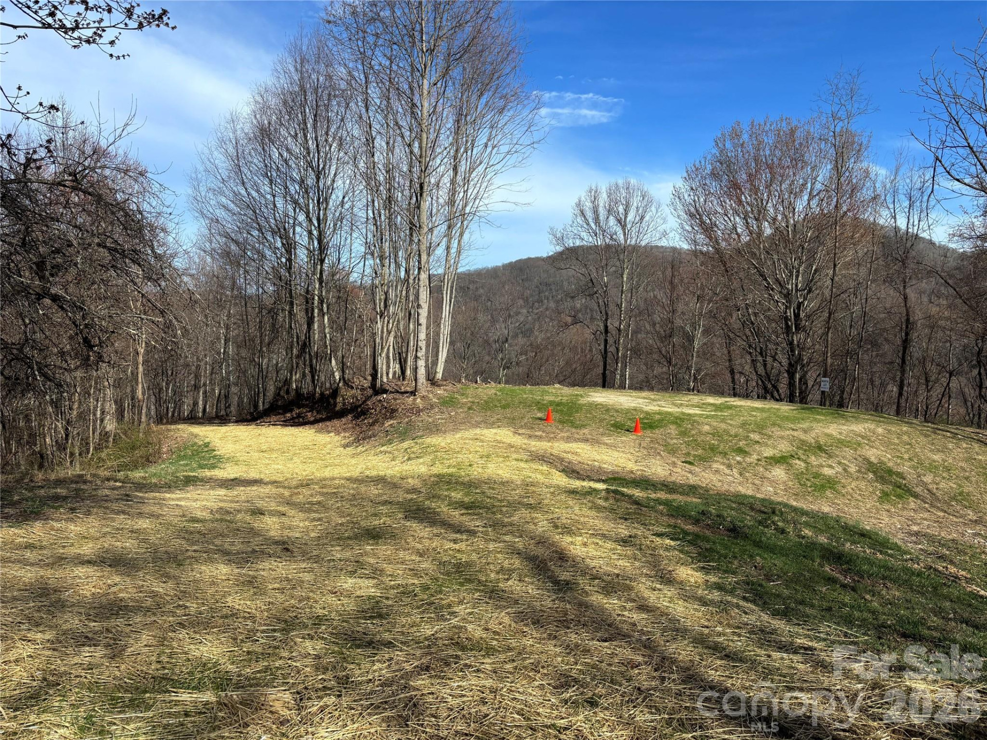 (North Lot) Meadow Fork Road - Photo 6
