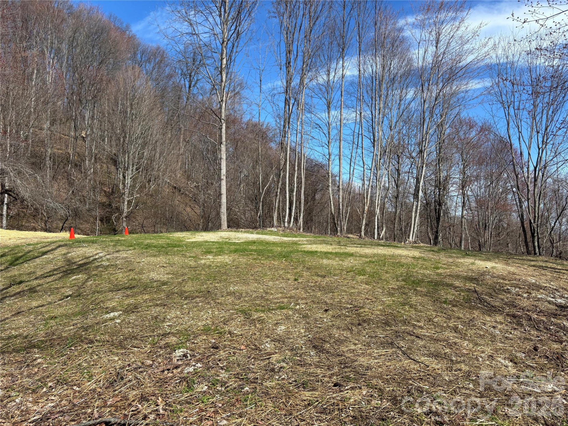 (North Lot) Meadow Fork Road - Photo 7
