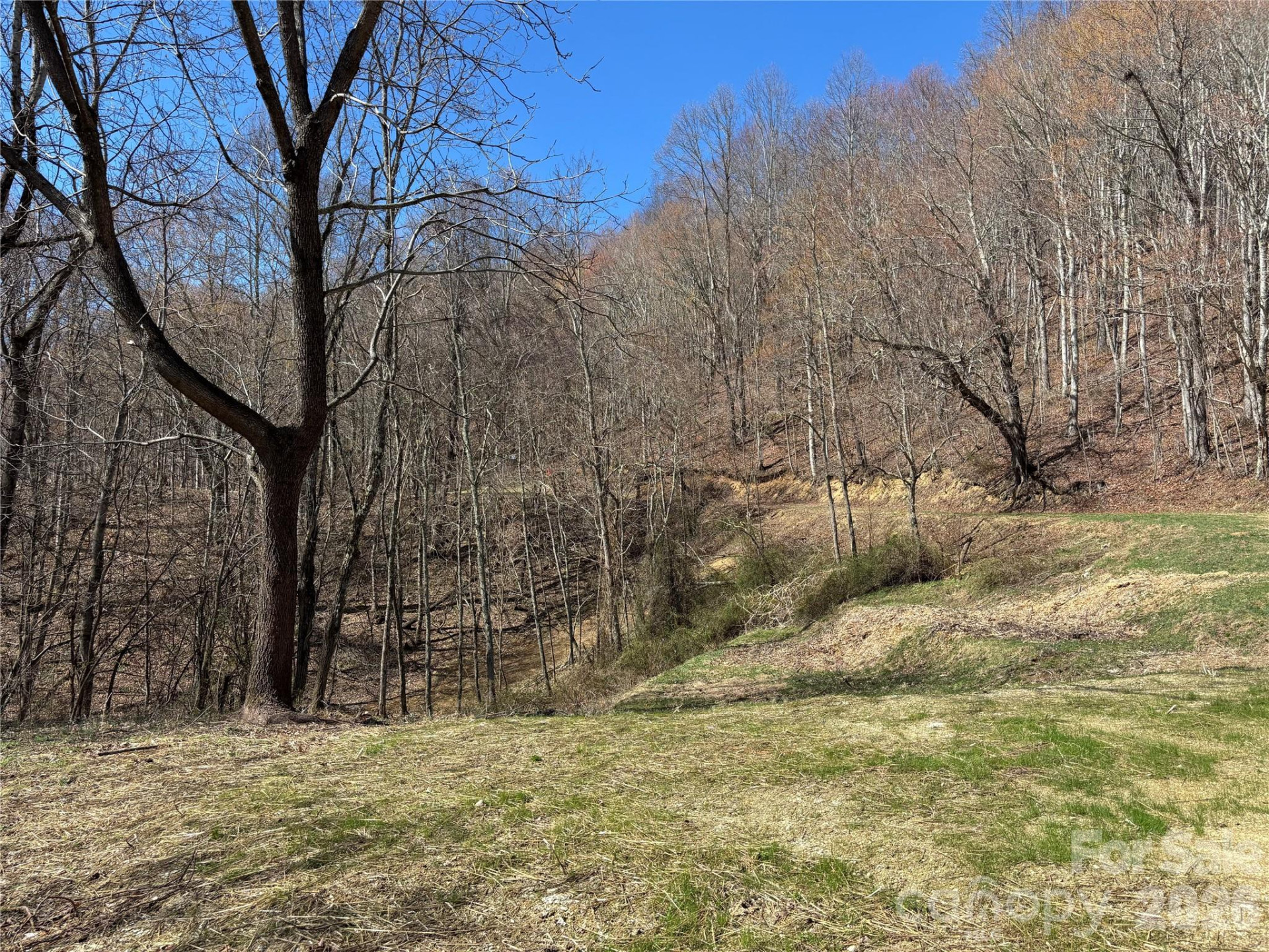 (North Lot) Meadow Fork Road - Photo 8