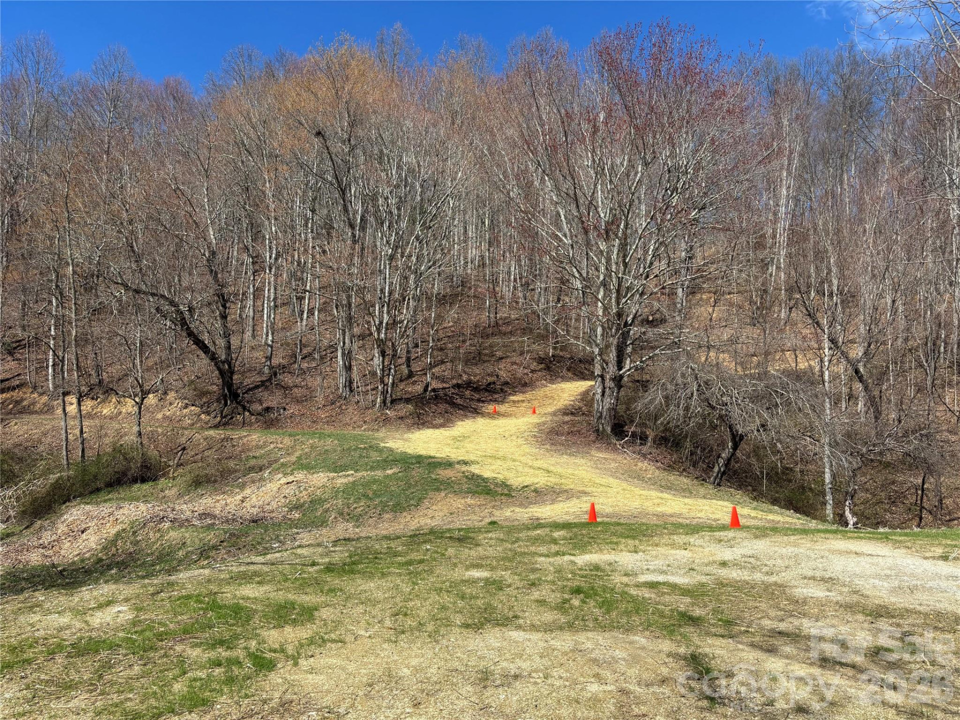 (North Lot) Meadow Fork Road - Photo 9