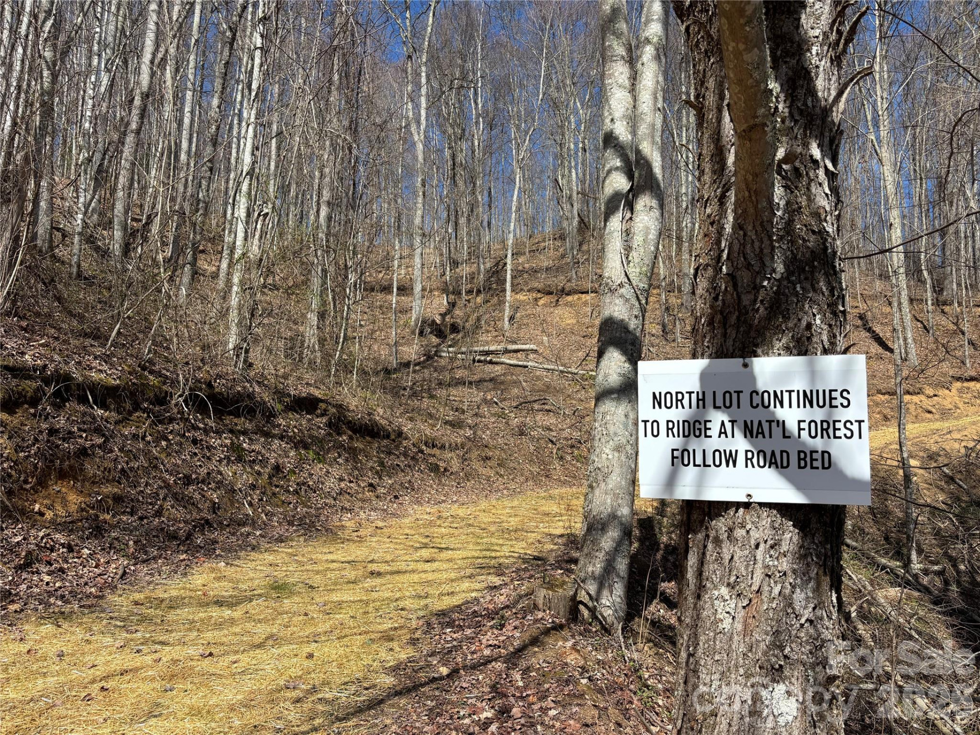 (North Lot) Meadow Fork Road - Photo 10