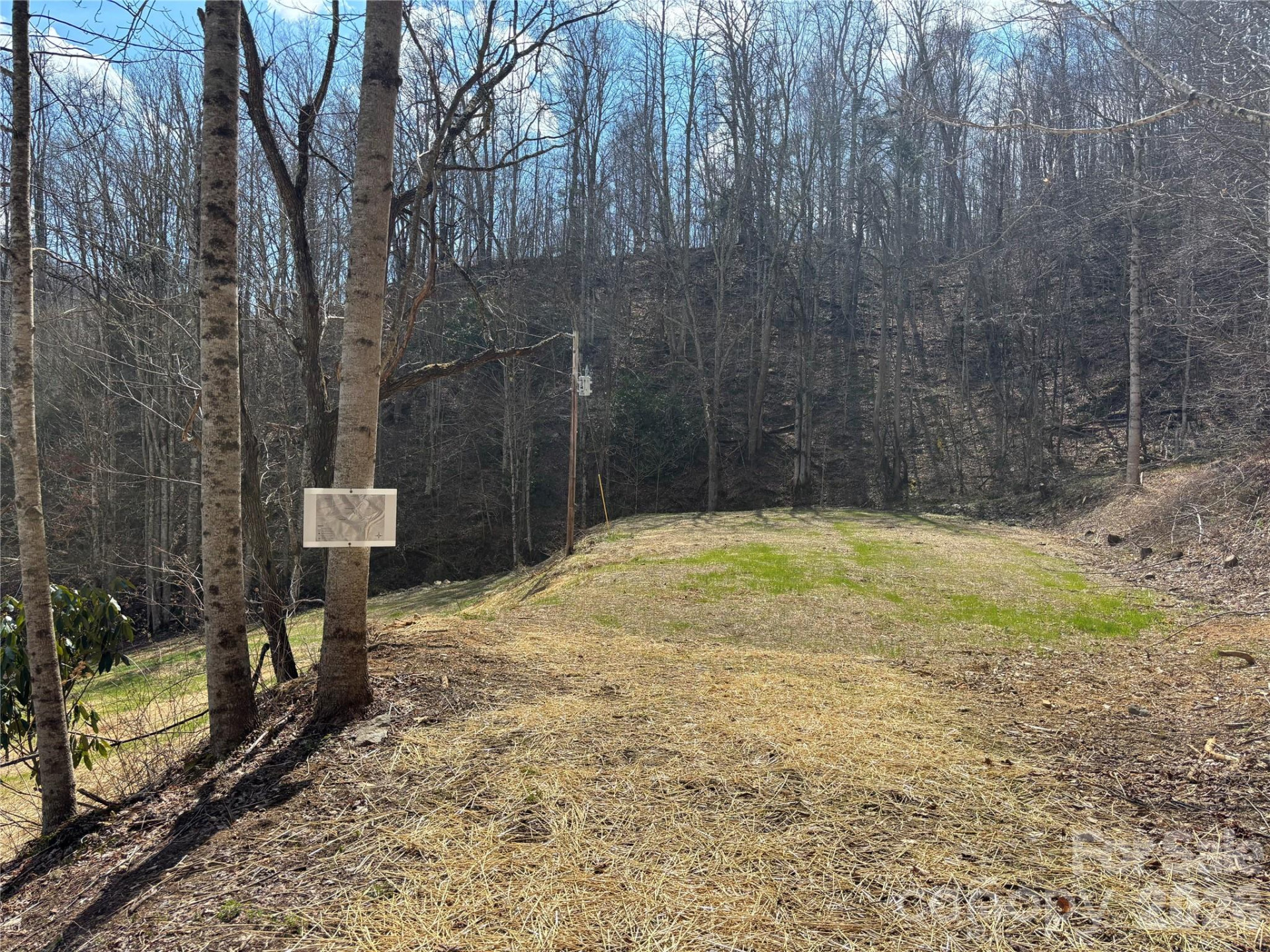 (South Lot) Meadow Fork Road - Photo 11