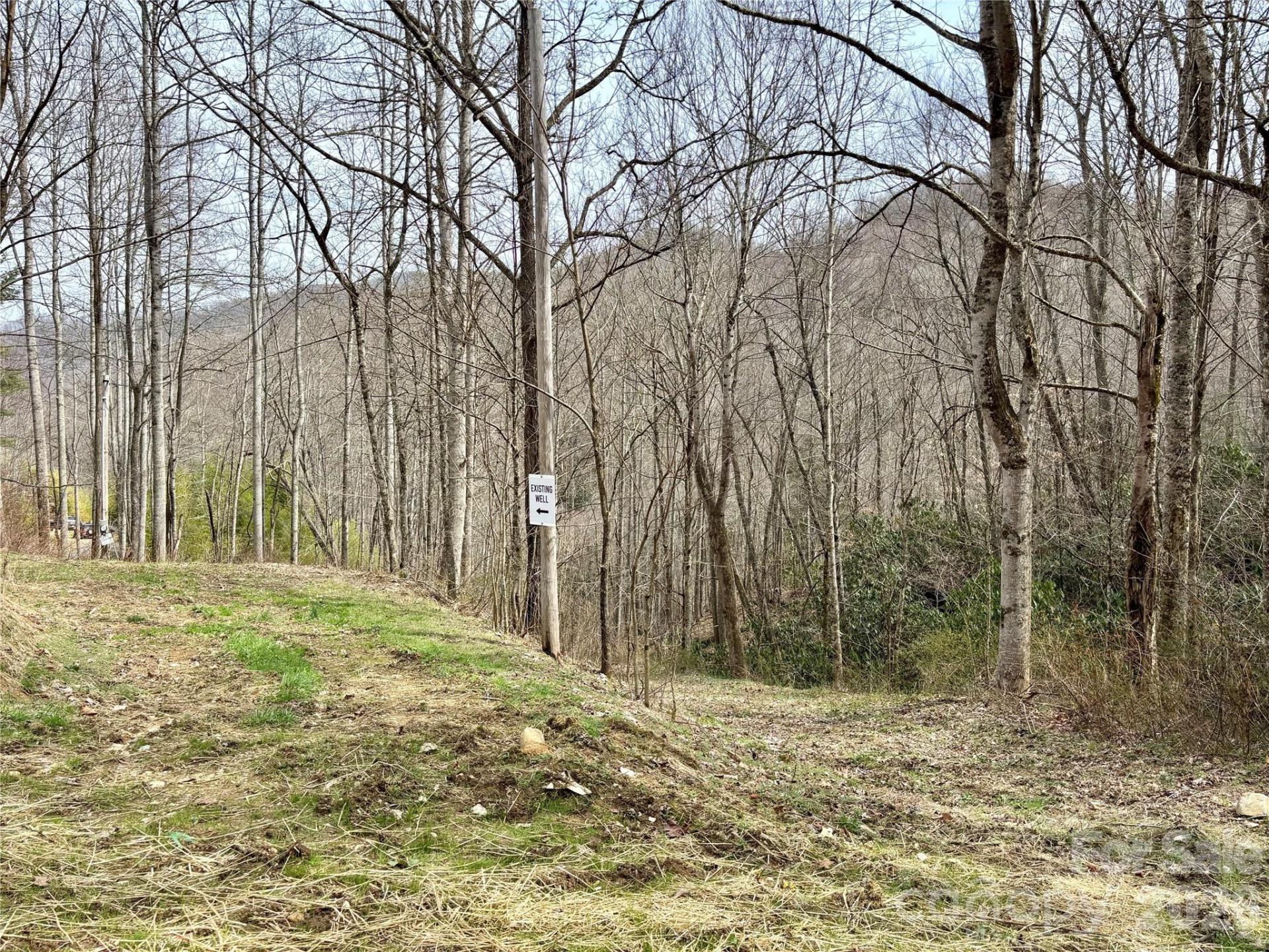 (South Lot) Meadow Fork Road - Photo 12