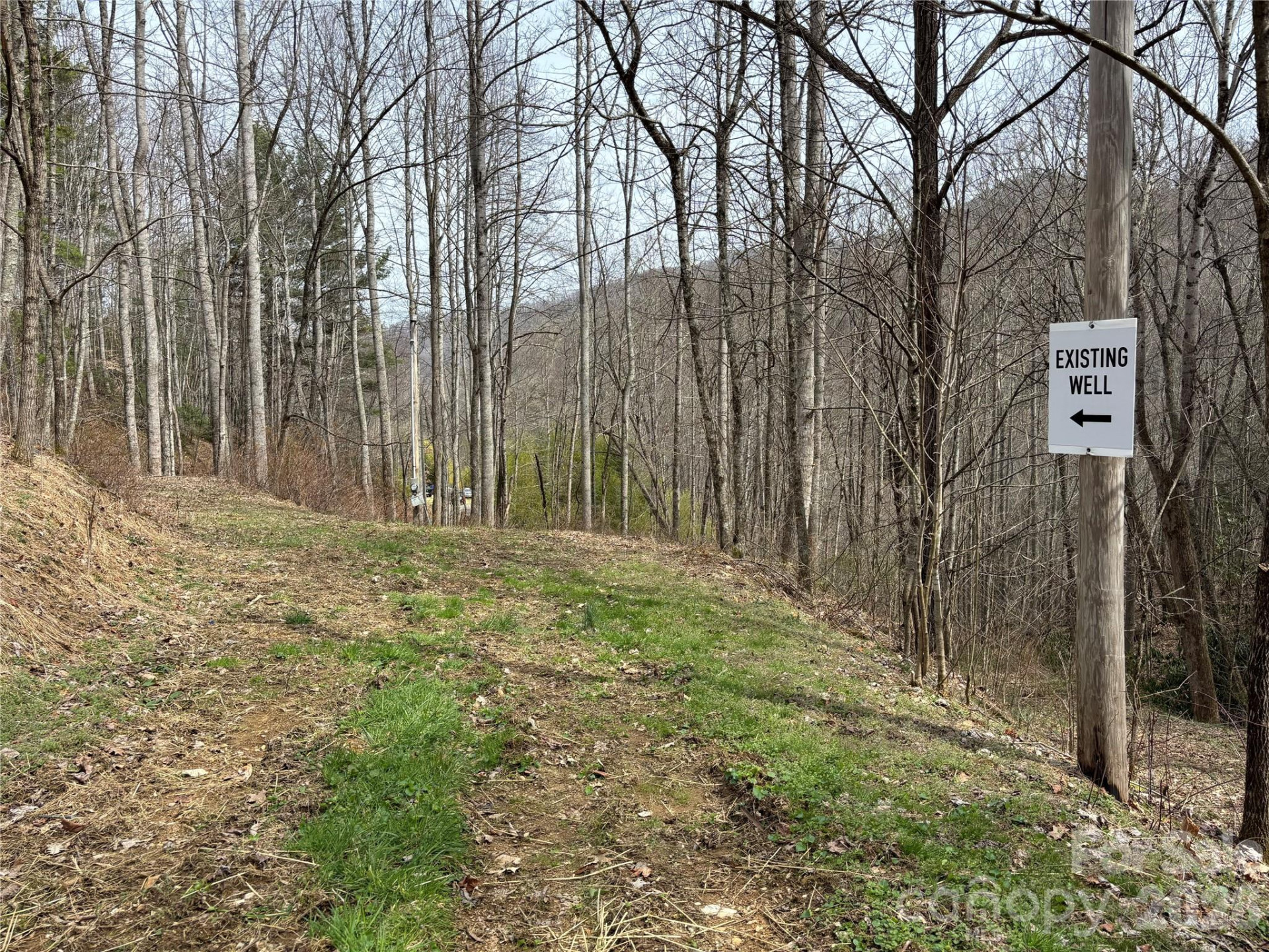 (South Lot) Meadow Fork Road - Photo 13
