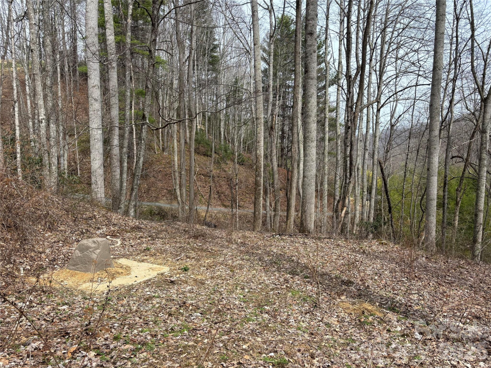 (South Lot) Meadow Fork Road - Photo 14