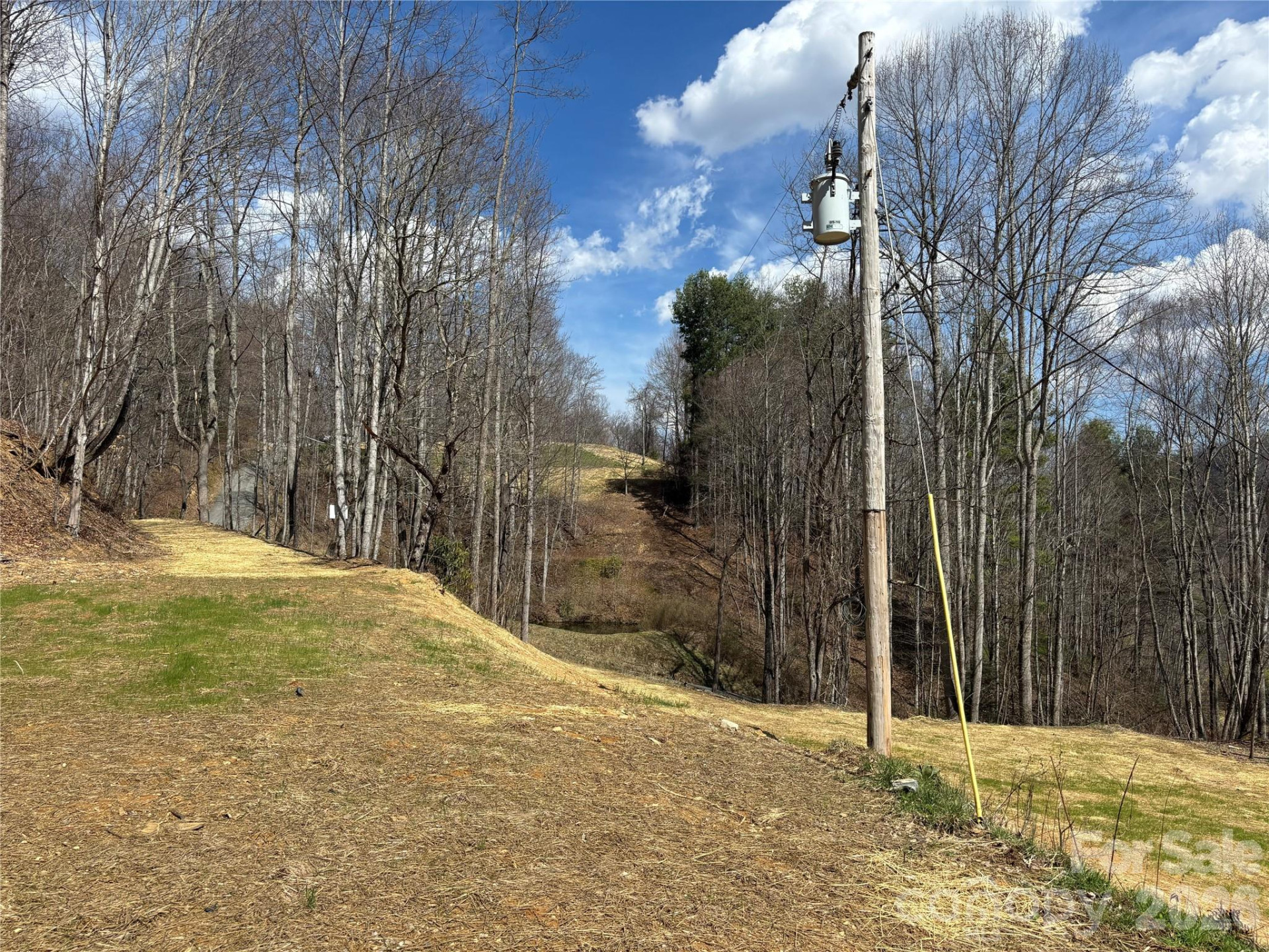(South Lot) Meadow Fork Road - Photo 15