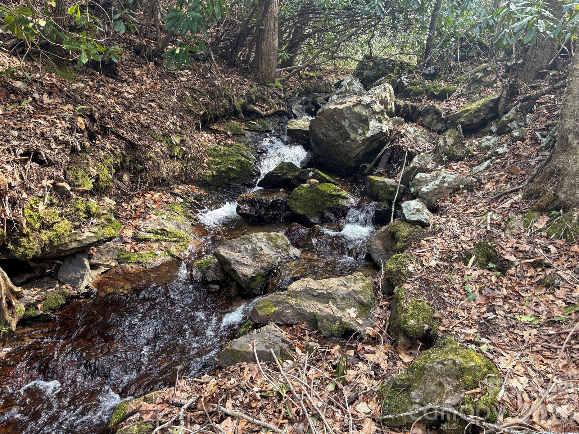 (South Lot) Meadow Fork Road - Photo 16