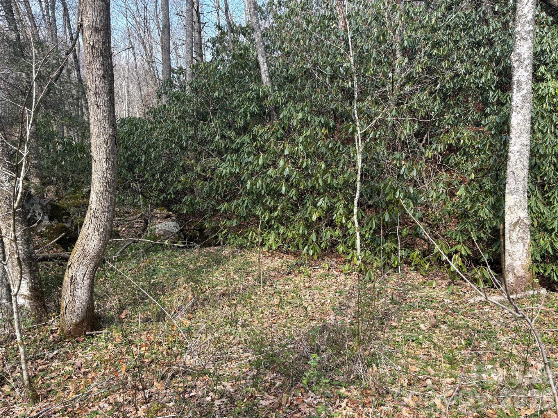 (South Lot) Meadow Fork Road - Photo 17
