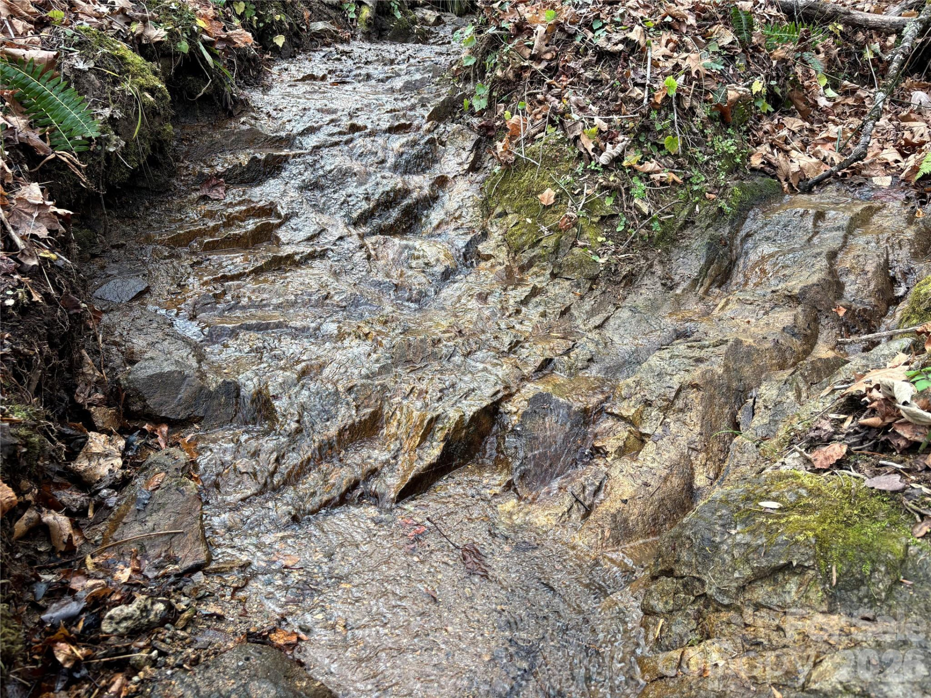 (South Lot) Meadow Fork Road - Photo 18