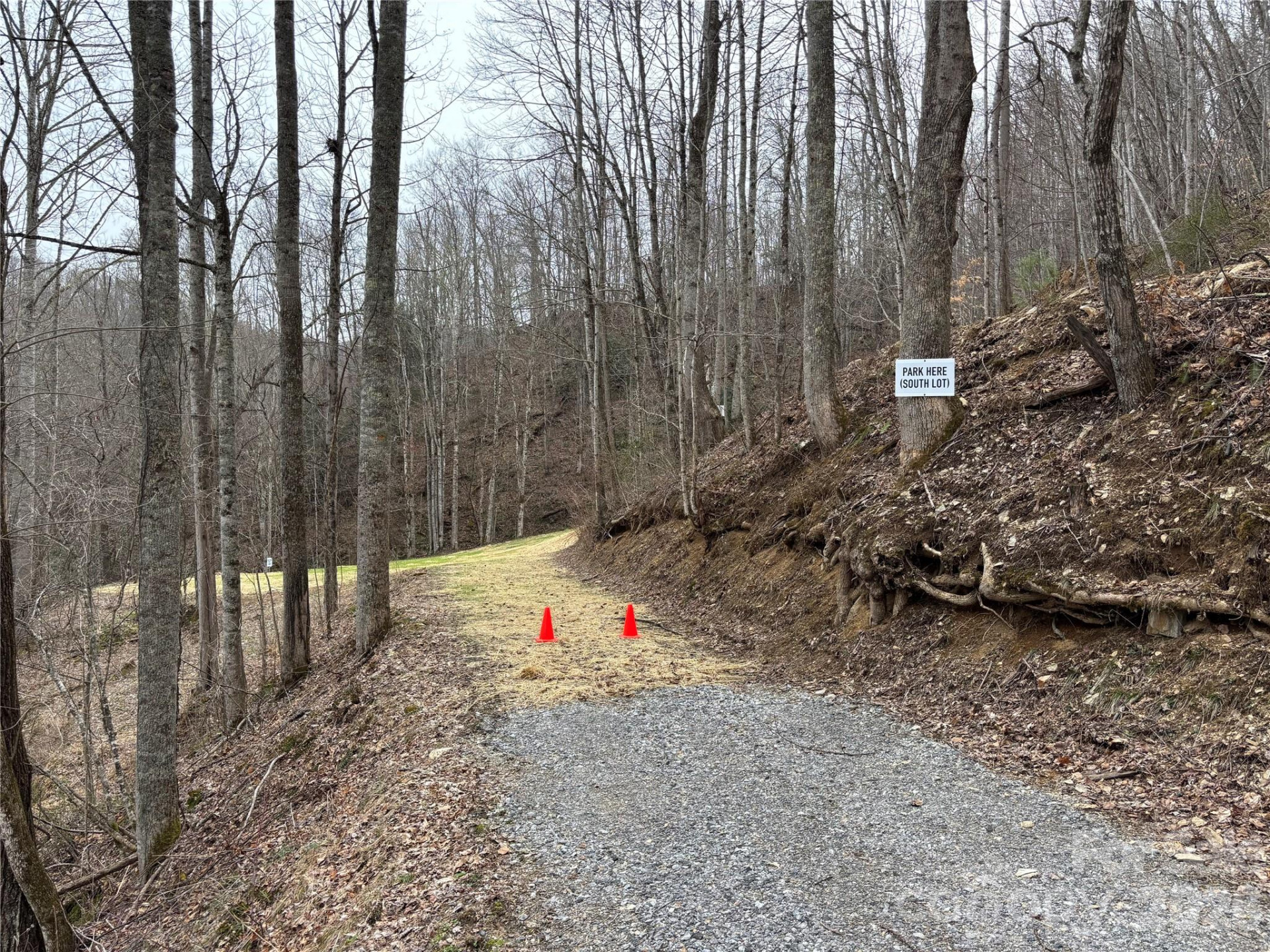 (South Lot) Meadow Fork Road - Photo 20